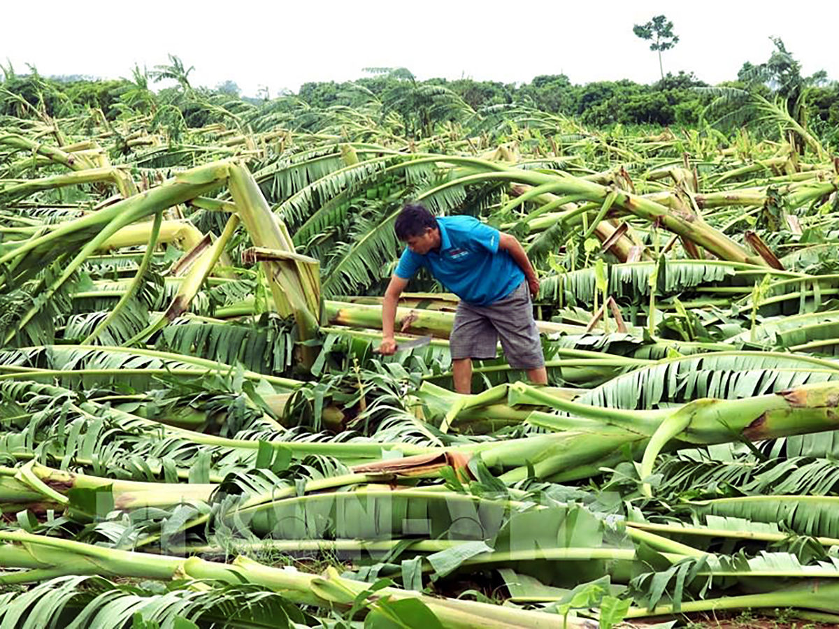 Mức hỗ trợ cho cá nhân không thuộc diện hộ nghèo, cận nghèo được đưa lên hơn gấp đôi, từ 20% lên mức tối đa 50%. Ảnh: VCCI