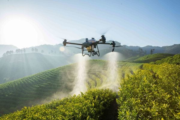 DJI T50