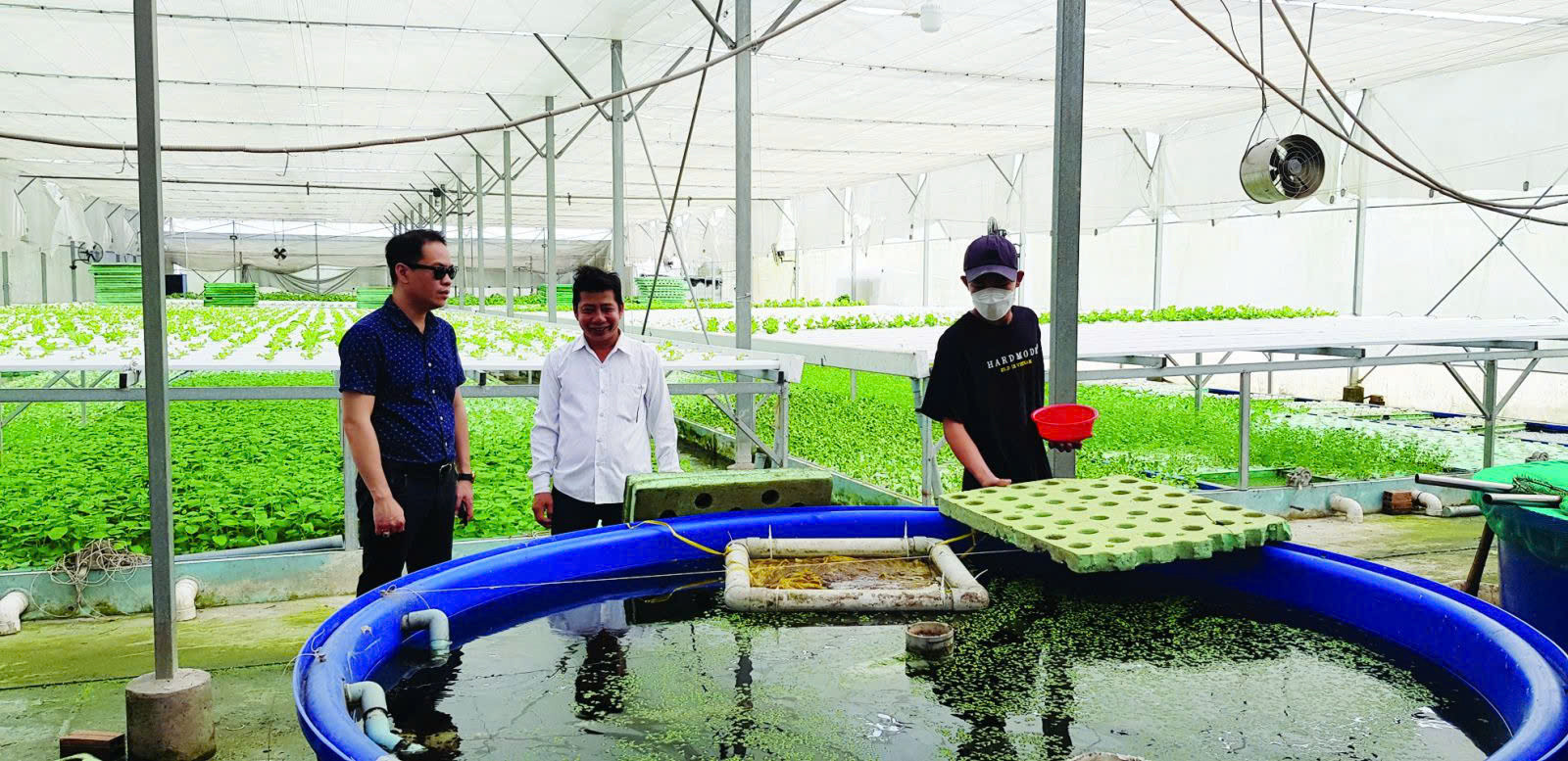 Mô hình sản xuất tuần hoàn tại một doanh nghiệp nông sản của Đồng Tháp.