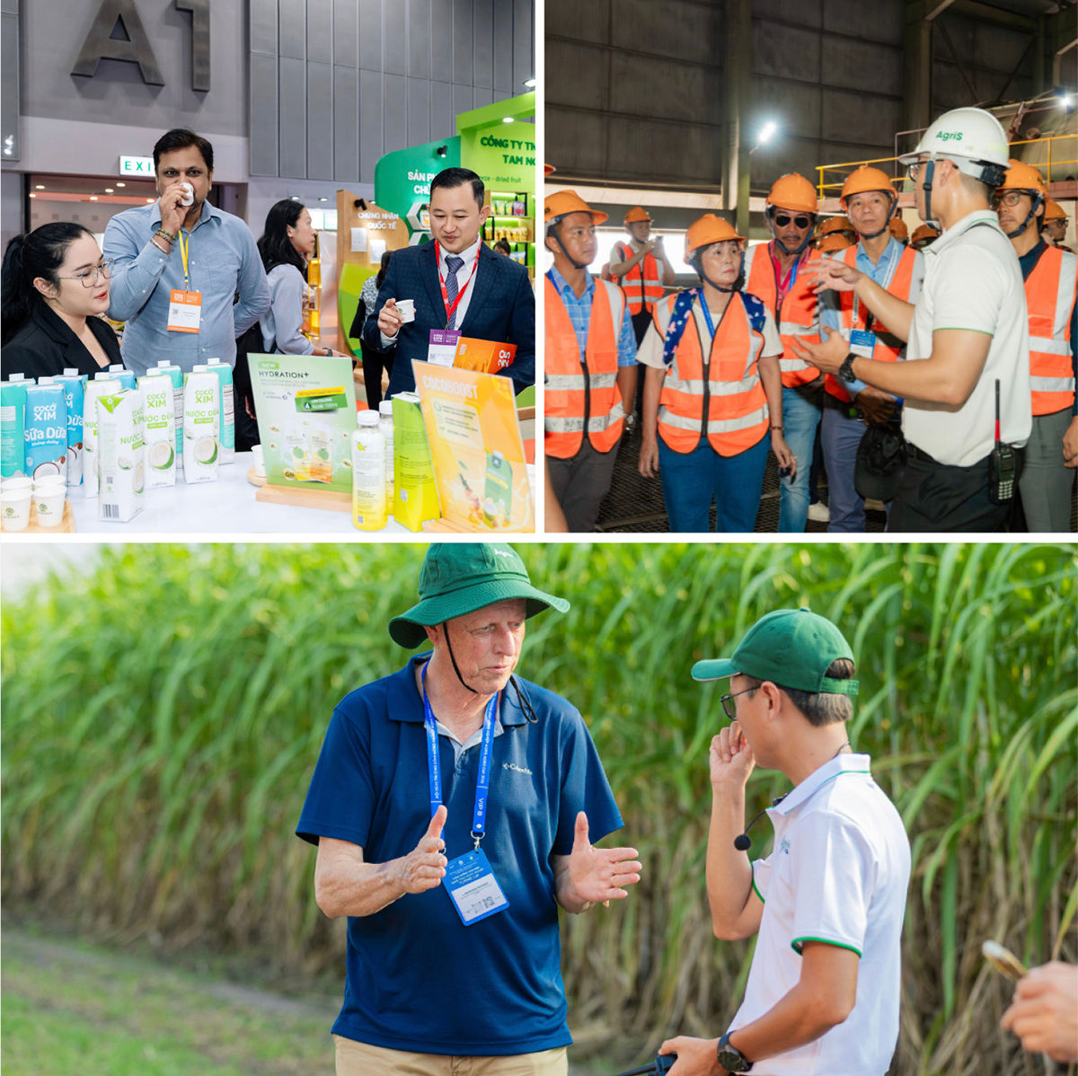 AgriS tăng tốc hợp tác quốc tế, mở rộng mạng lưới đối tác chiến lược nhằm củng cố hệ sinh thái nông nghiệp tích hợp, vươn tầm khu vực. Ảnh: CAFEF