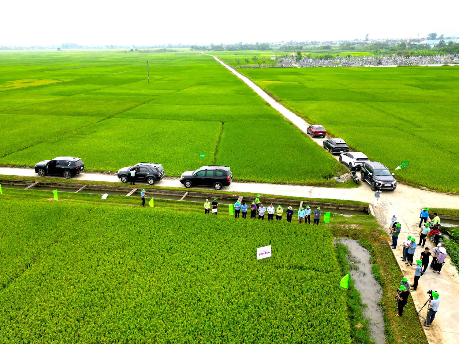 Lãnh đạo ThaiBinh Seed đã thẳng thắn chỉ ra điểm nghẽn cốt lõi của ngành lúa lai Việt Nam và nhấn mạnh yêu cầu cấp thiết phải nâng cao năng lực tự chủ nguồn giống để kiến tạo chuỗi giá trị nông nghiệp bền vững. Ảnh BNA