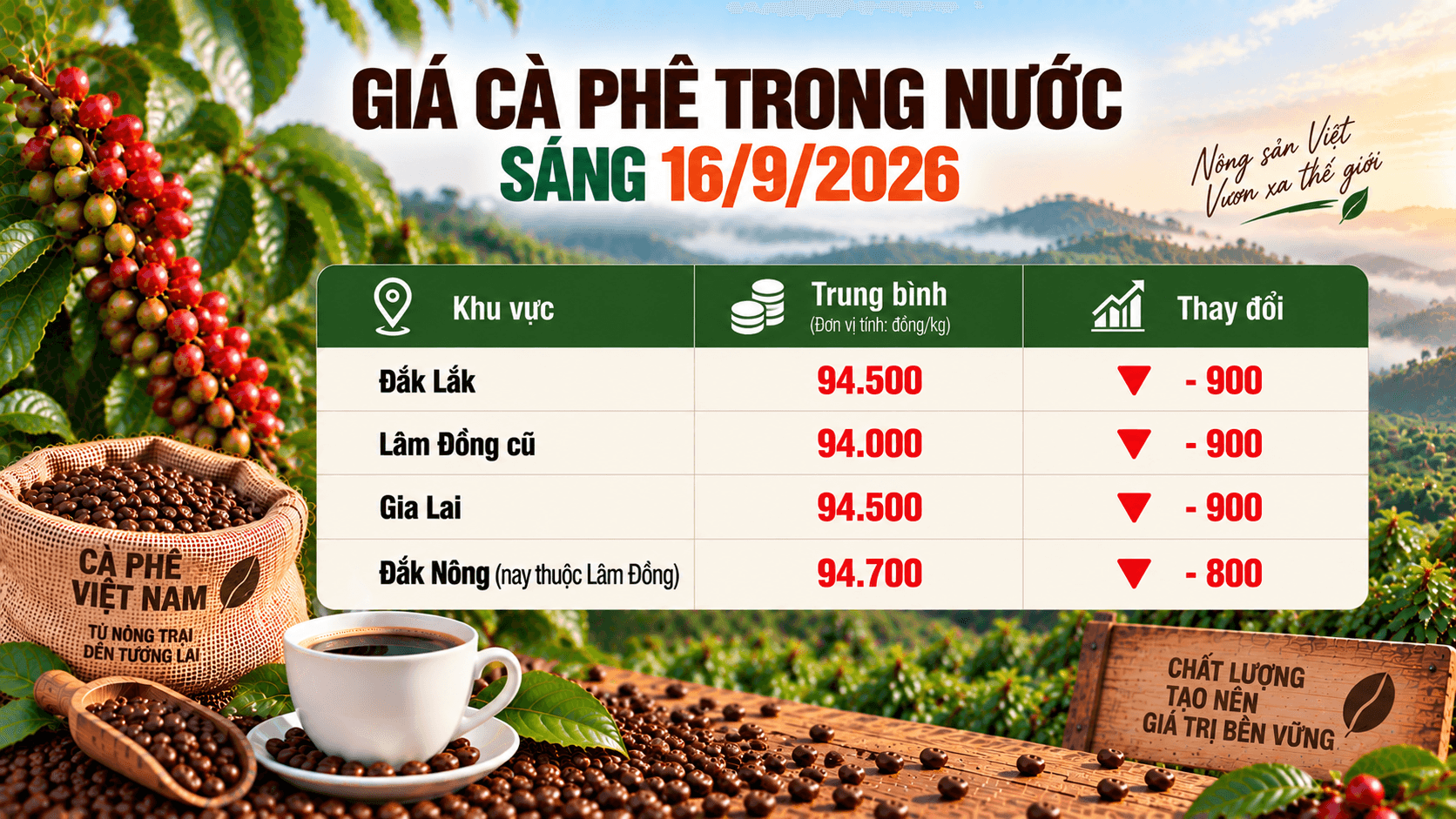 Thị trường cà phê hôm nay ghi nhận giá cà phê trong nước quay đầu giảm mạnh.