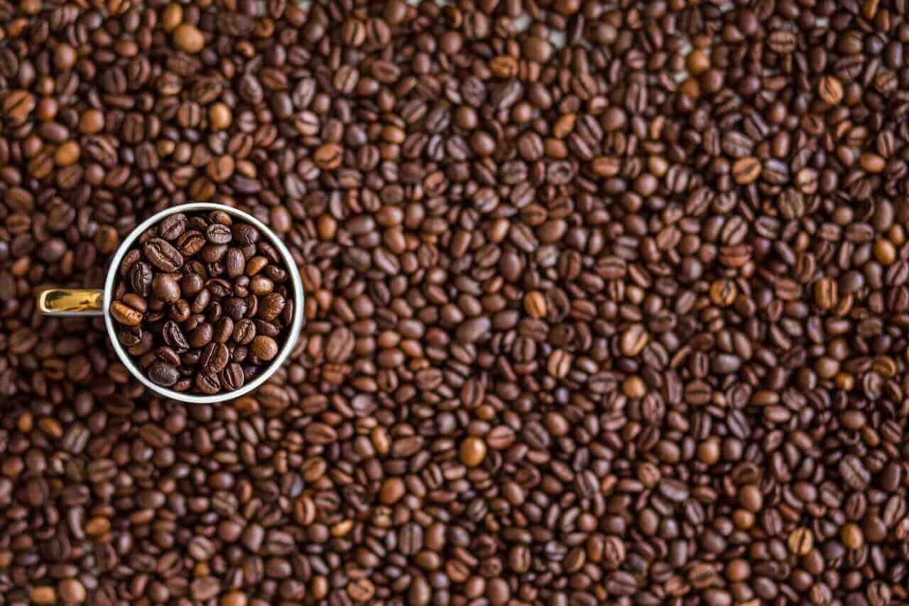 Giá cà phê trong nước giảm thêm 300 - 500 đồng/kg