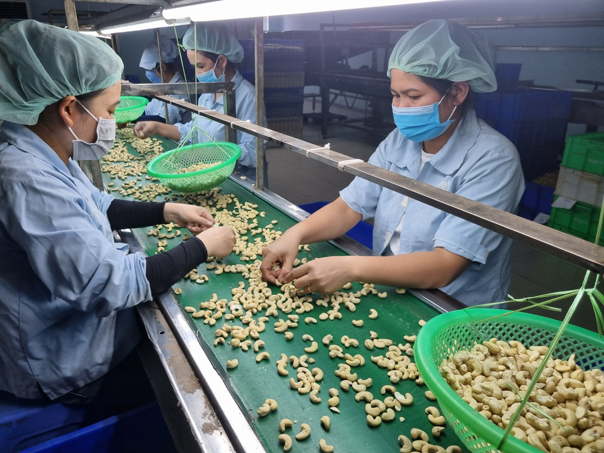 Giá điều xuất khẩu (2)