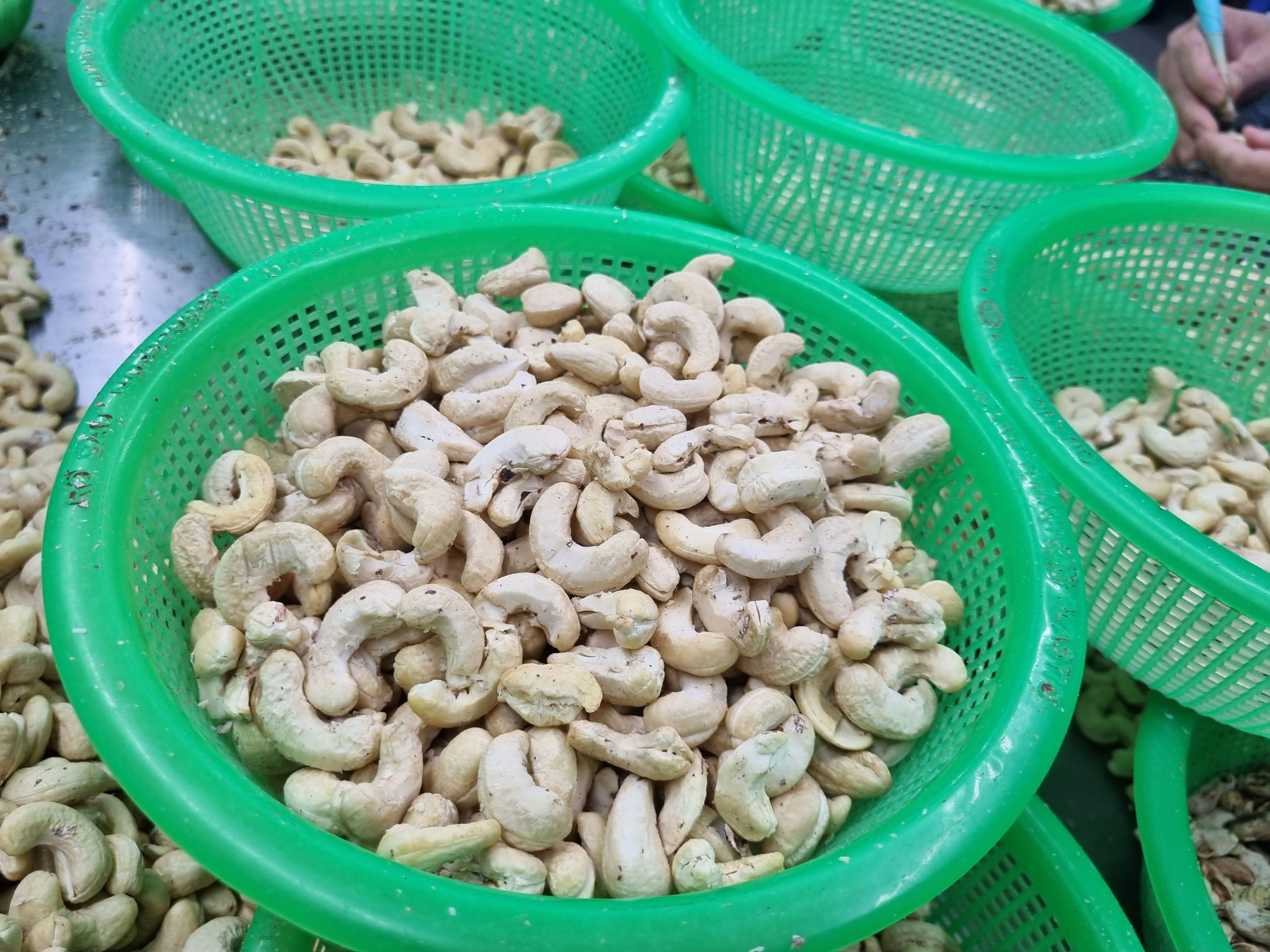 Giá hạt điều xuất khẩu (1)