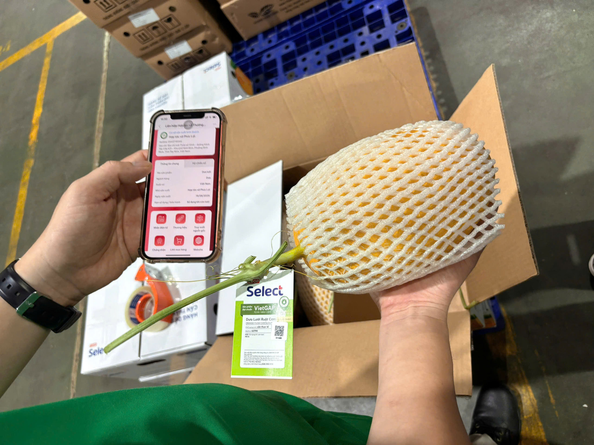 Bán lẻ đua mở rộng về nông thôn tạo dư địa cho nông sản địa phương (1)