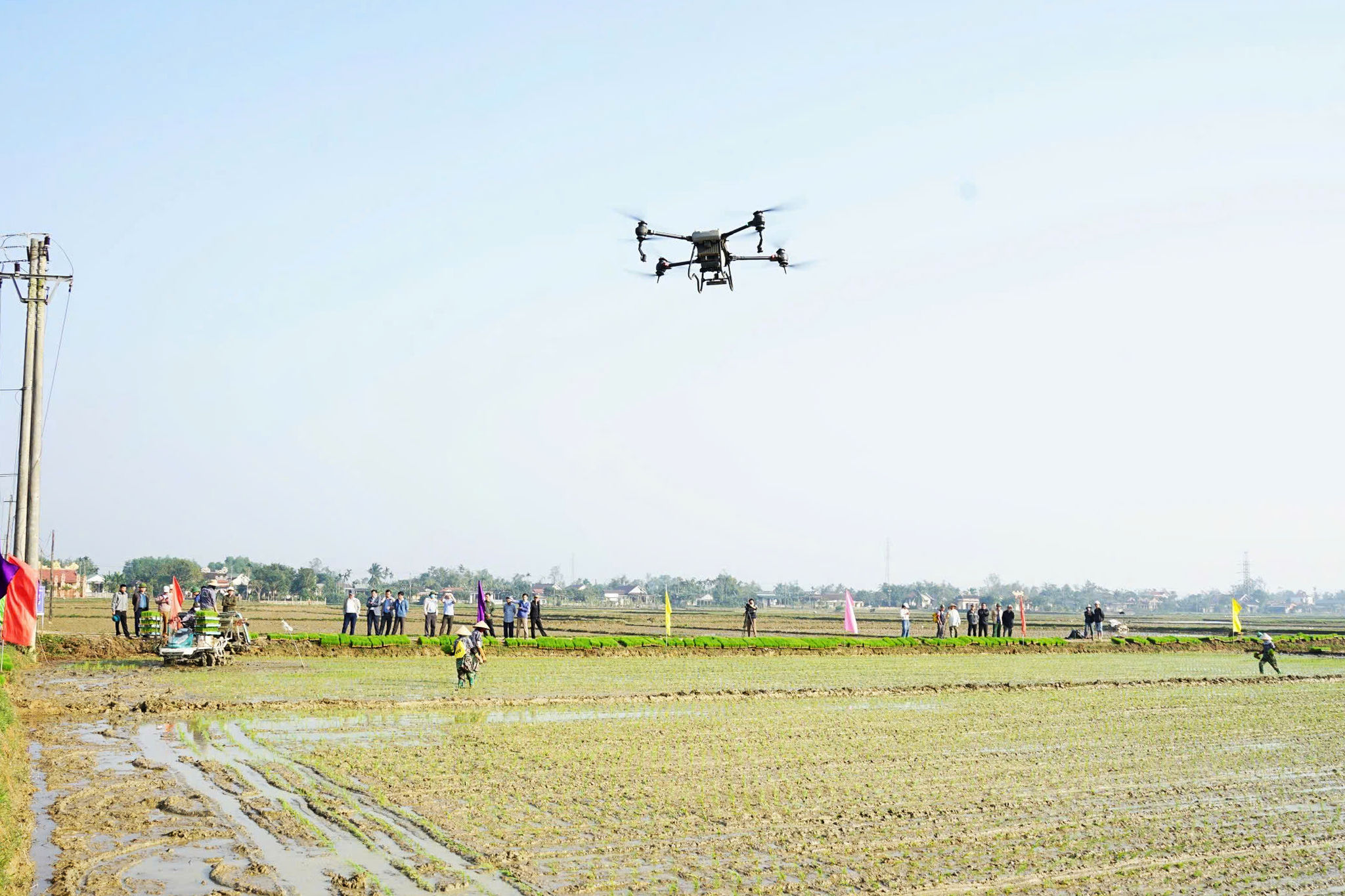 Dùng drone trong trong sản xuất lúa trên đồng ruộng Quảng Trị.