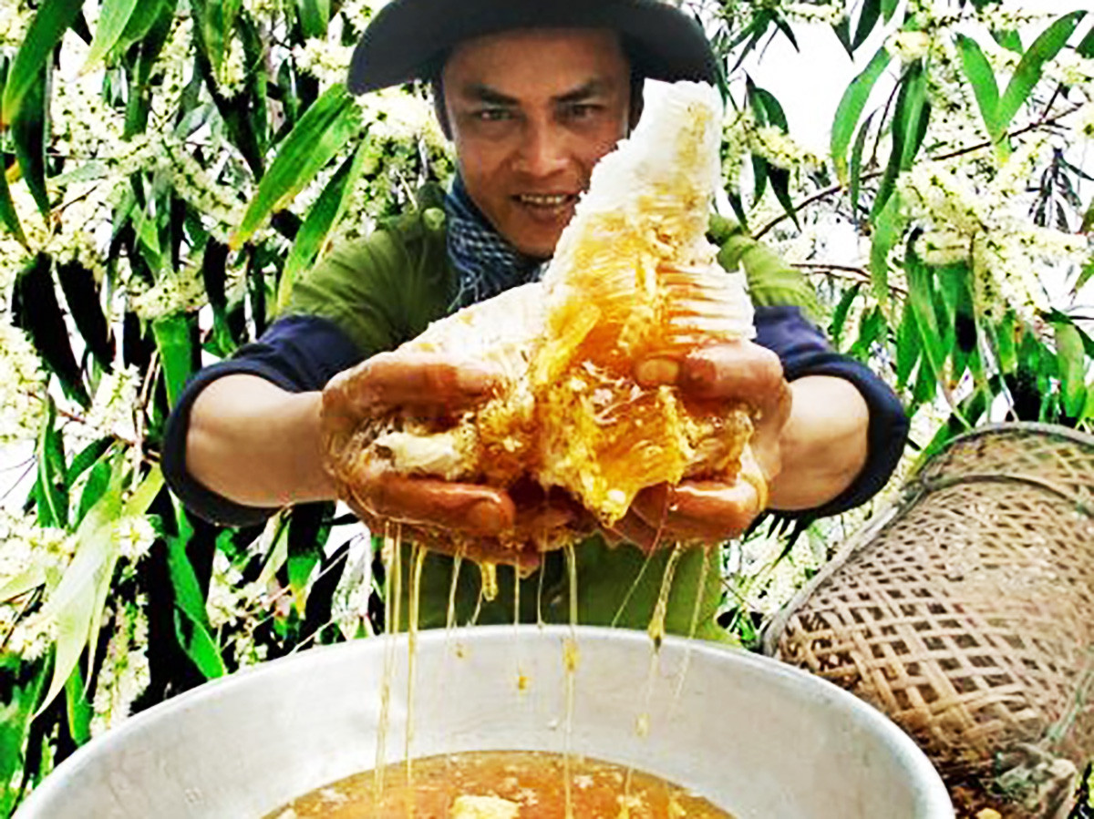 Mật ong Việt Nam trở thành ‘đại sứ’ nông nghiệp sinh thái
