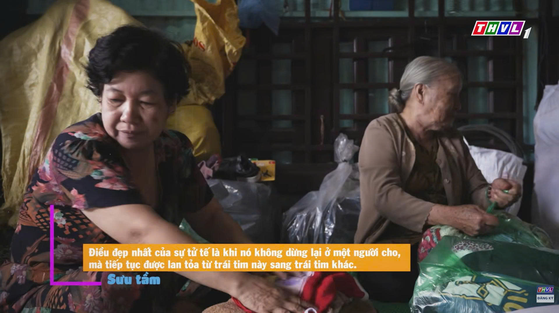 Hoa đẹp giữa đời thường