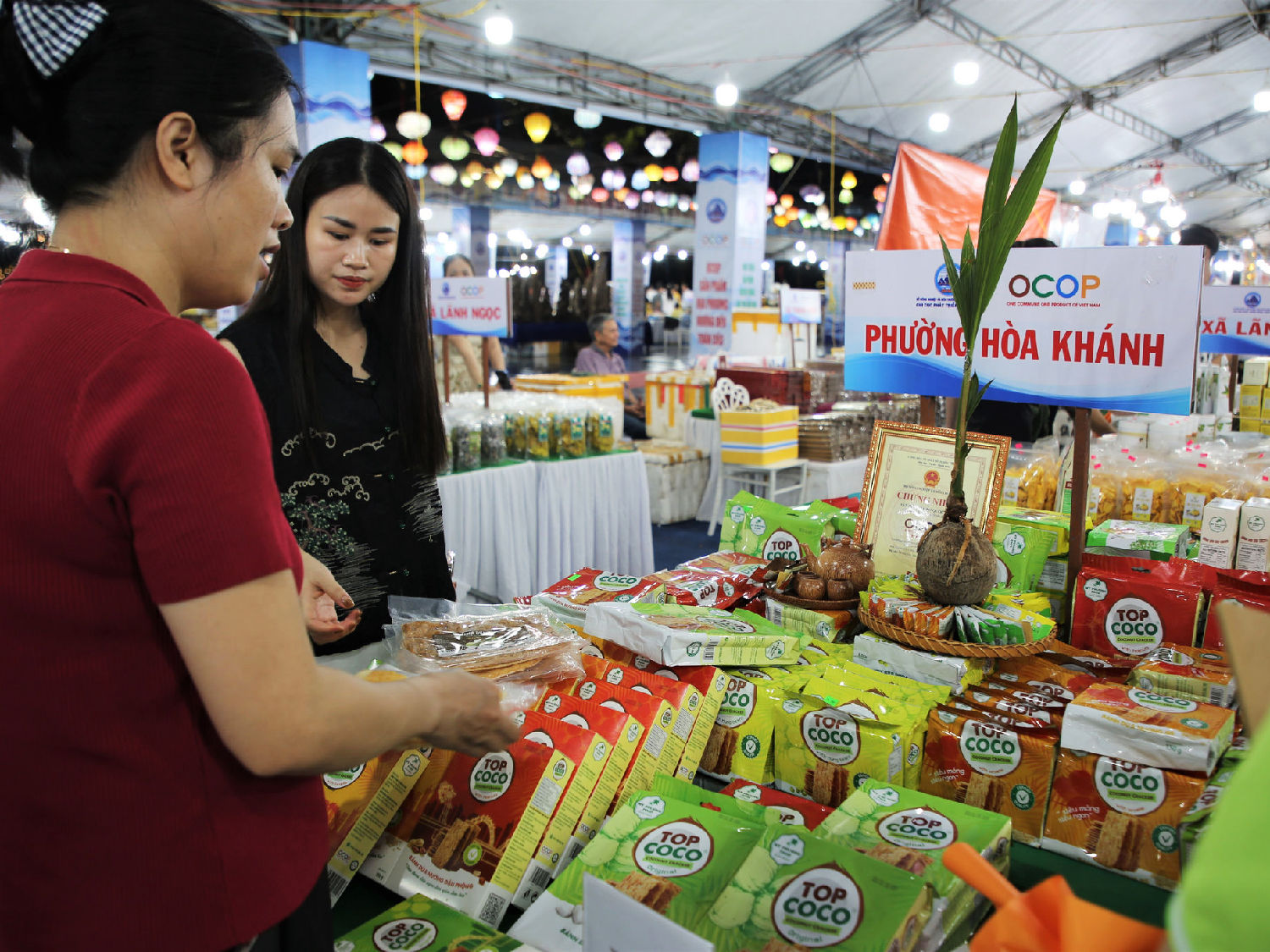 Phần lớn các chủ thể hiện nay xuất thân từ nông dân, hộ kinh doanh cá thể hoặc các hợp tác xã non trẻ, thiếu hụt trầm trọng về năng lực tài chính và quản trị doanh nghiệp hiện đại.