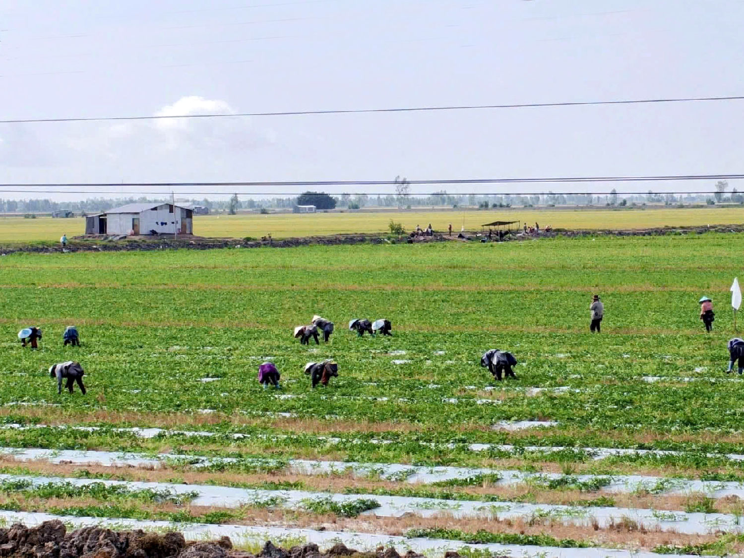 Hưng Điền không chỉ là một địa bàn chiến sự. Nó còn là nơi để người ta trở về sau chiến tranh, nhưng đời sống thì đã thấm đẫm chiến tranh trong từng thớ đất, thấm bằng máu xương và cả niềm ám ảnh đã trở thành “chuyện thường”.