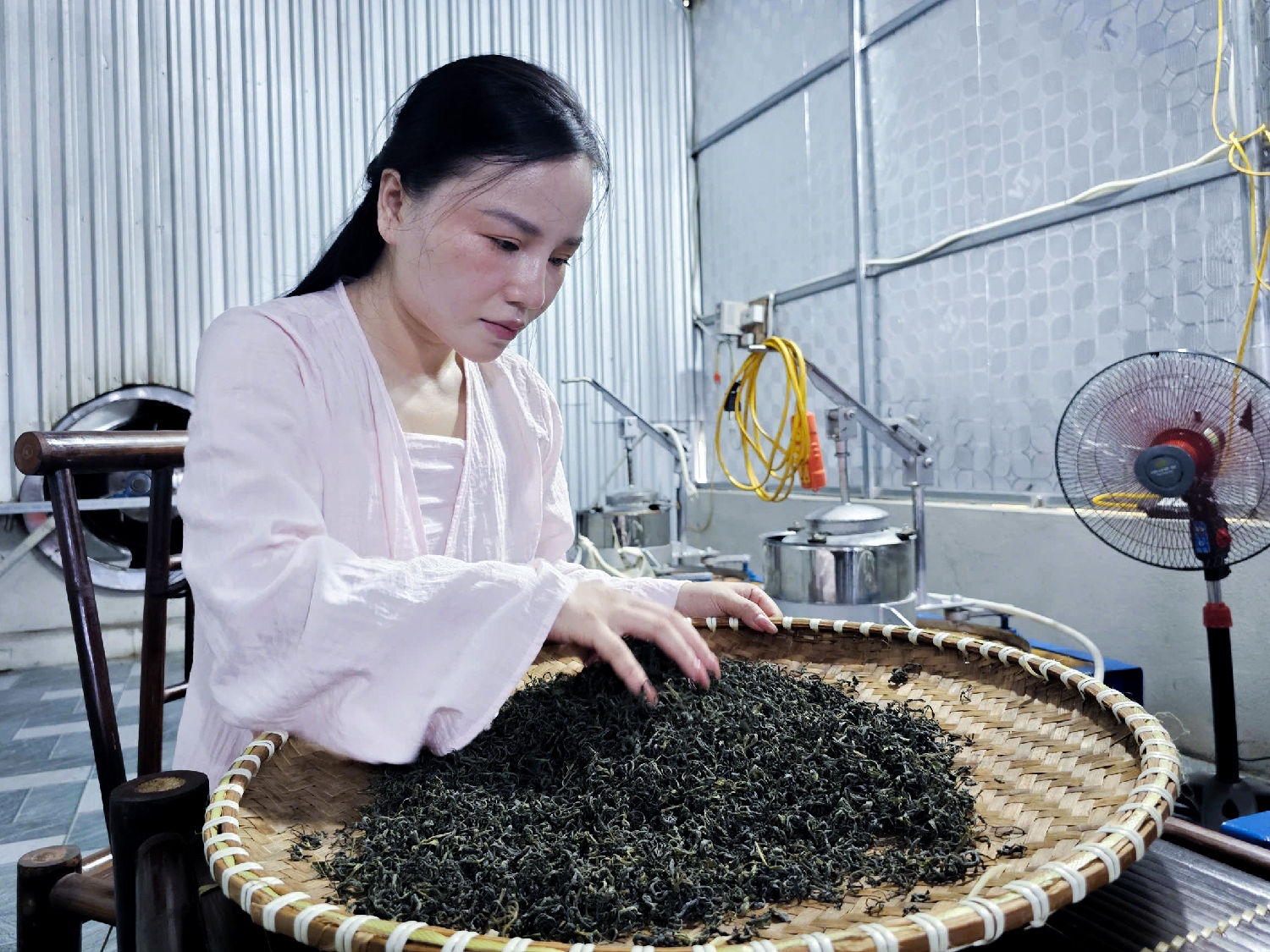 Chị My tỉ mỉ kiểm tra những mẻ trà sau khi ra lò.