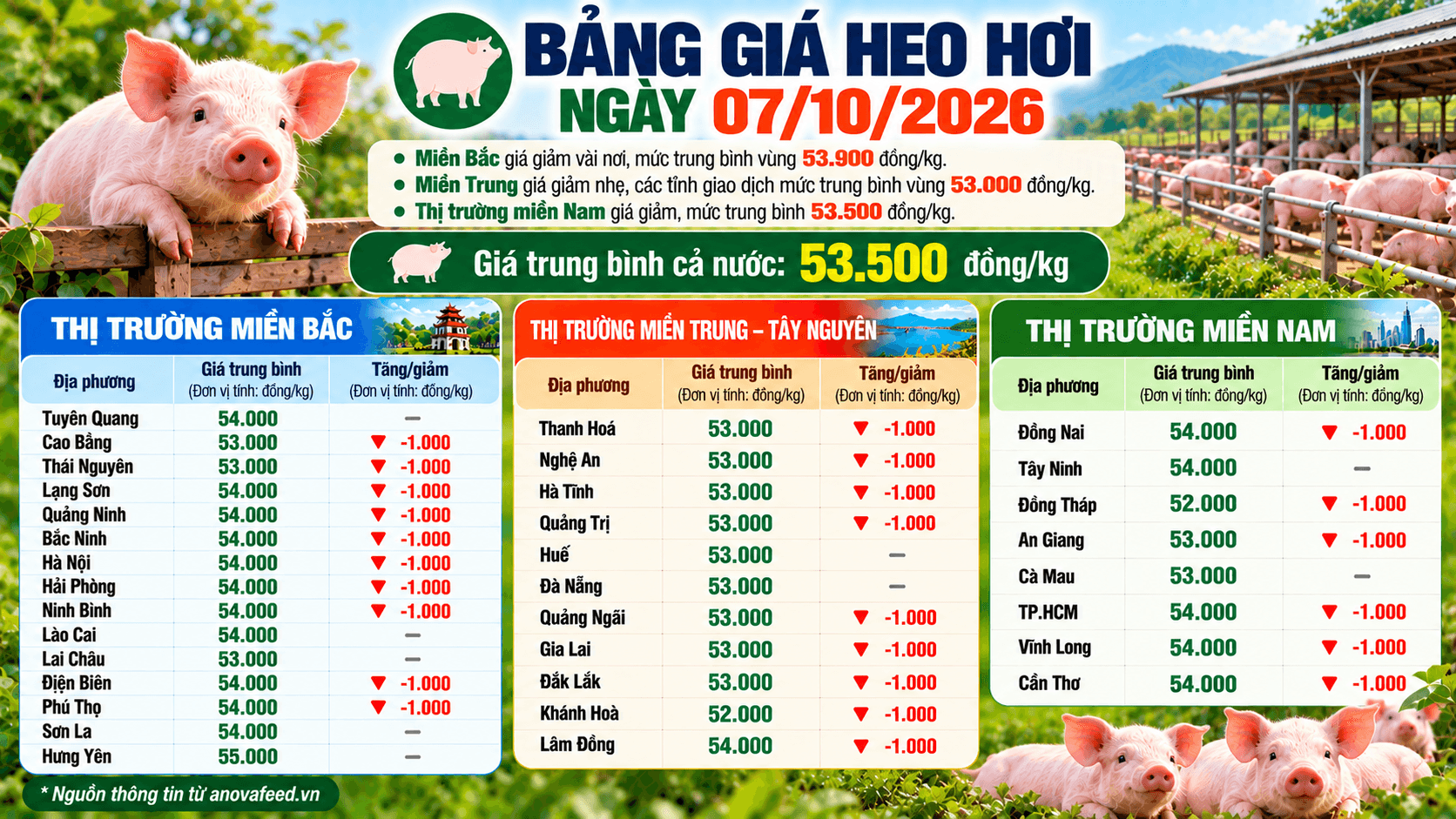 Thị trường heo hơi sáng 7/10/2026 duy trì xu hướng đi xuống tại cả ba miền.
