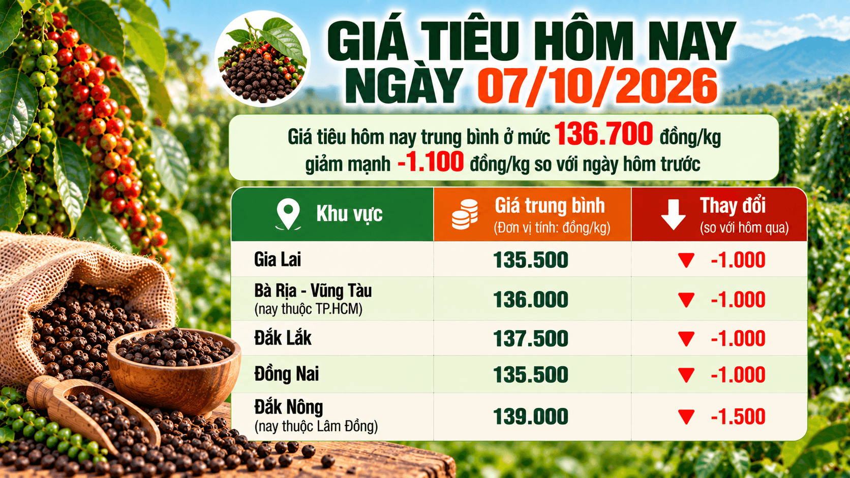 Giá hồ tiêu 'bất ngờ' giảm 1.100 đồng, trung bình còn 136.700 đồng/kg 