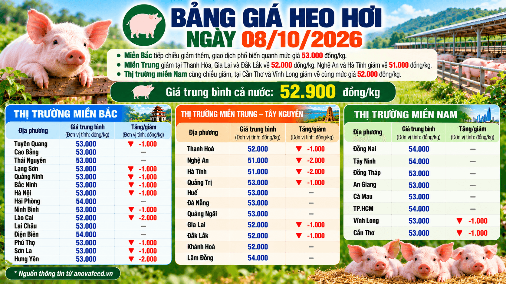 Giá heo hơi bình quân còn 52.900 đồng/kg 
