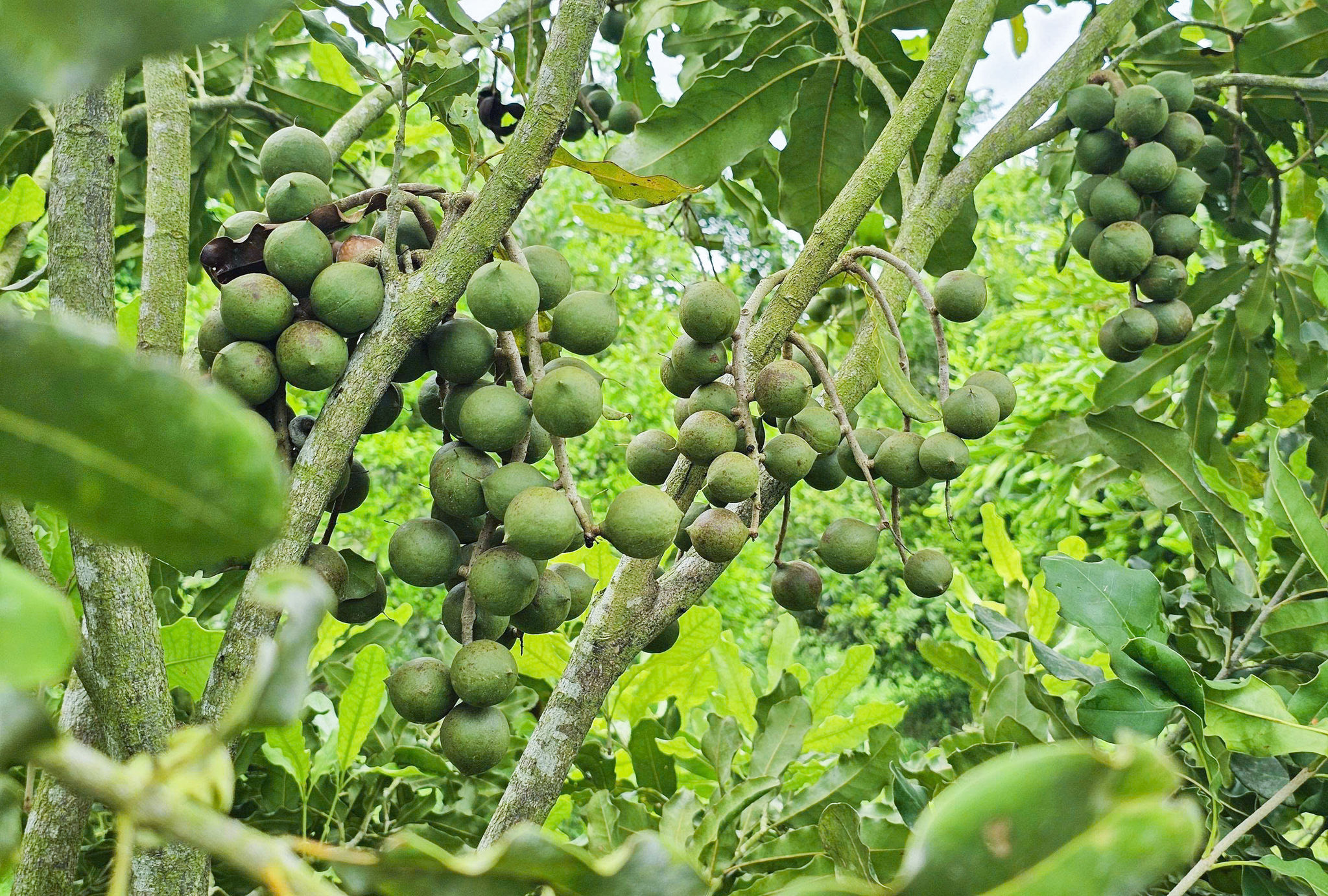 Ảnh 3