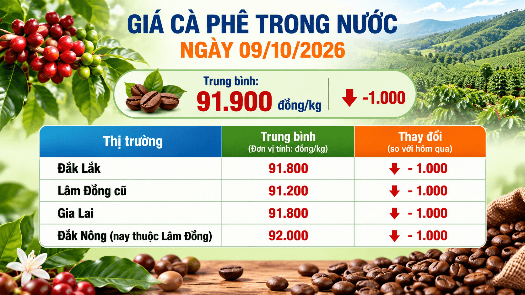 Giá cà phê trong nước giảm thêm 1.000 đồng/kg 