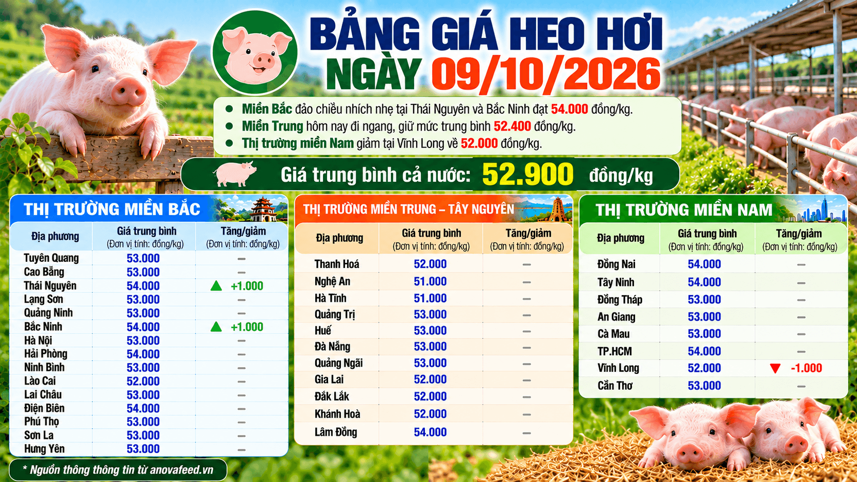 Giá heo hơi 9/10/2026 vẫn duy trì mức giá bình quân 52.900 đồng/kg.