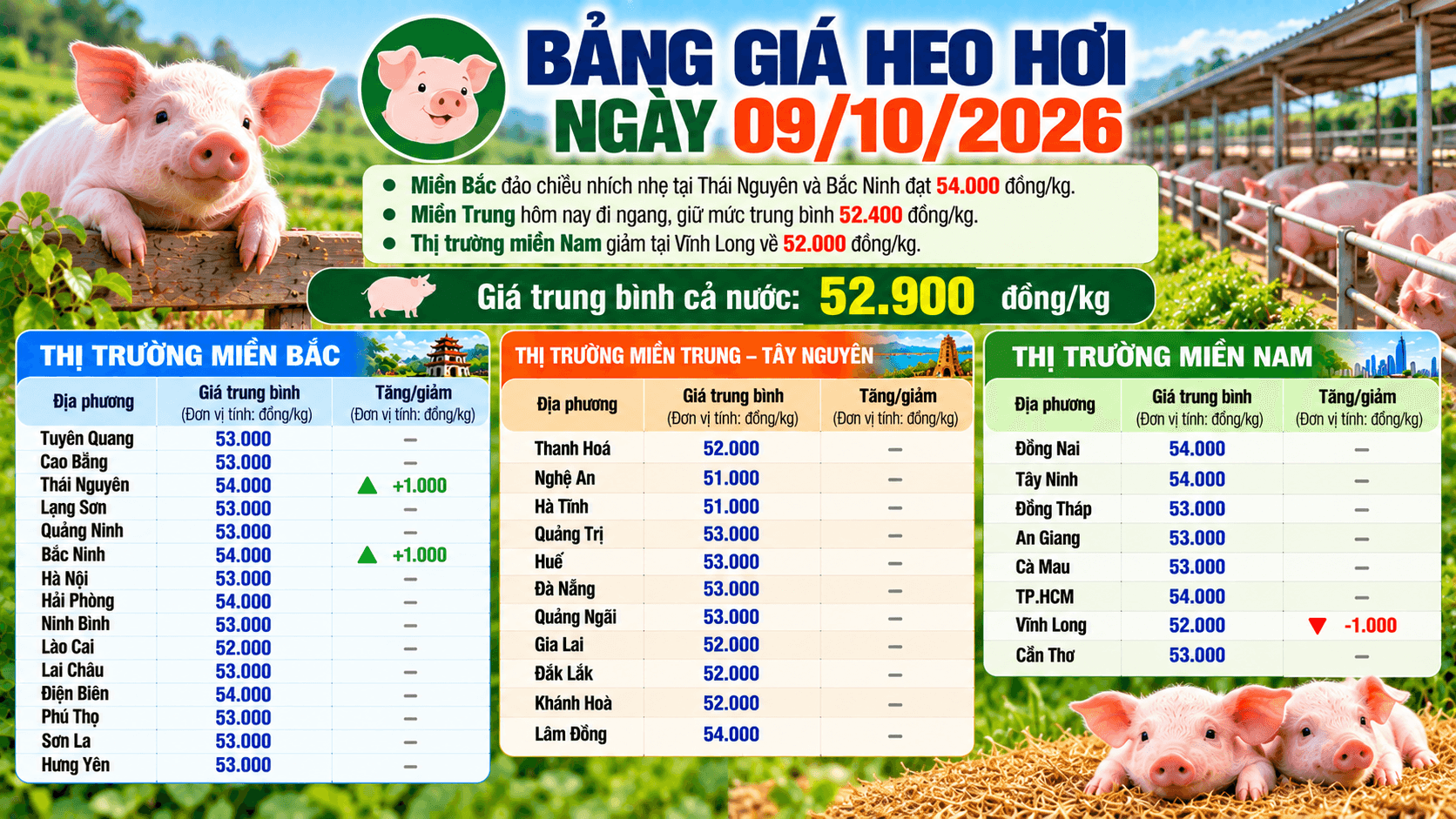 Giá heo hơi 9/10 diễn biến trái chiều giữa các vùng