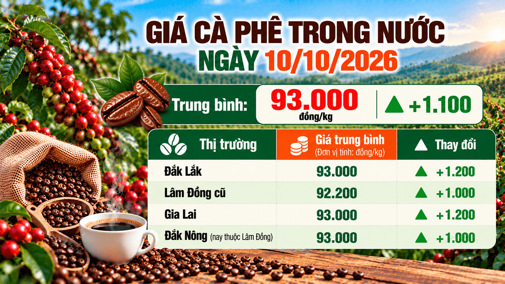 Giá cà phê bật tăng thêm hơn 1.000 đồng/kg.