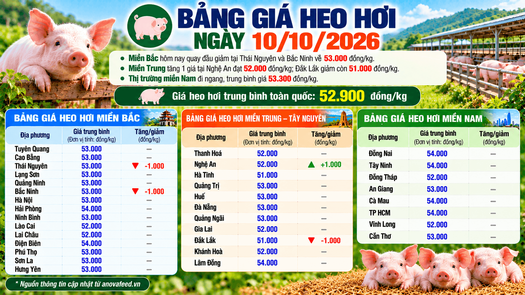 Giá heo hơi biến động cục bộ, miền Nam giữ giá ổn định 
