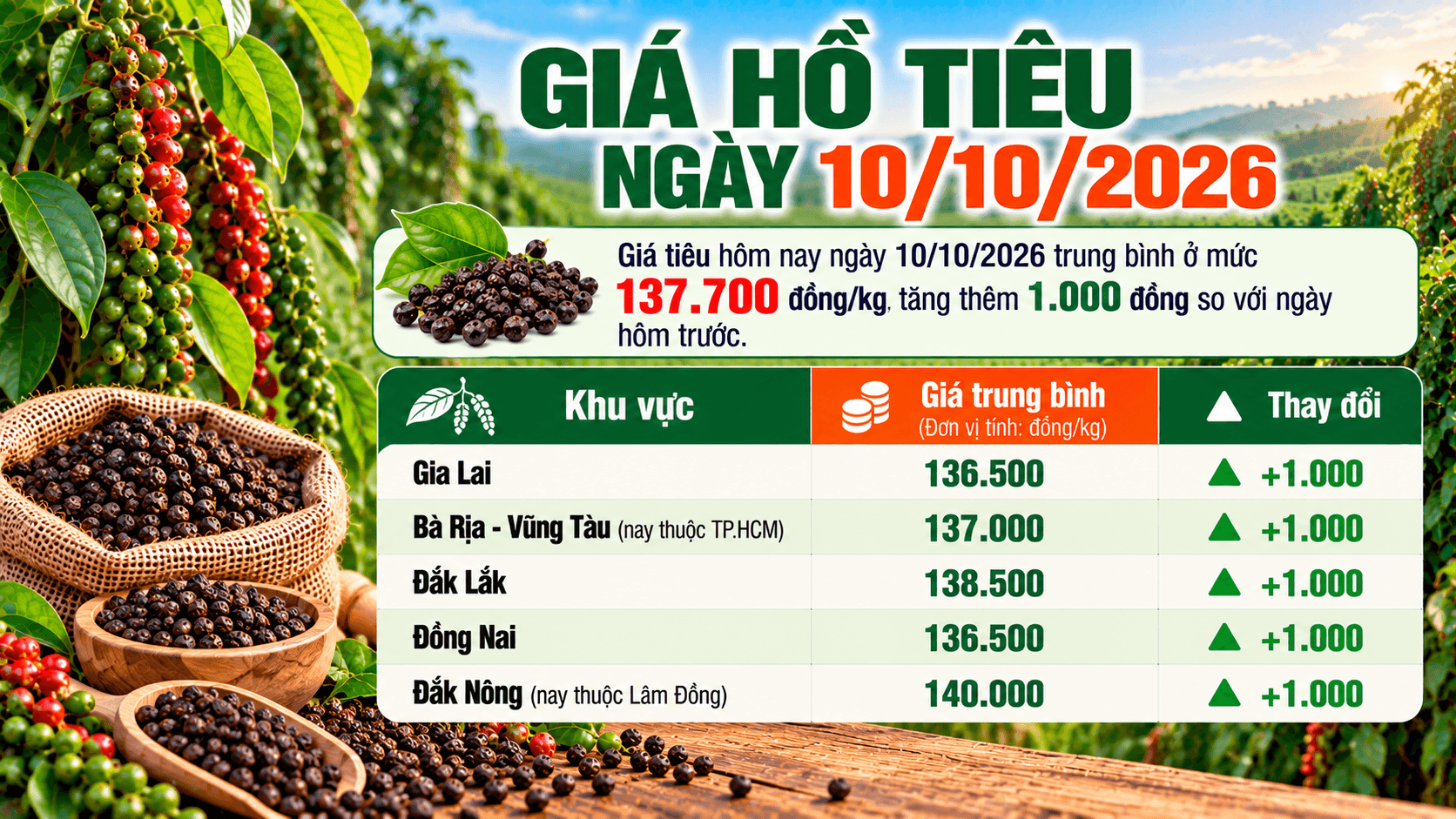 gia-ho-tieu-ngay-10102026.png
