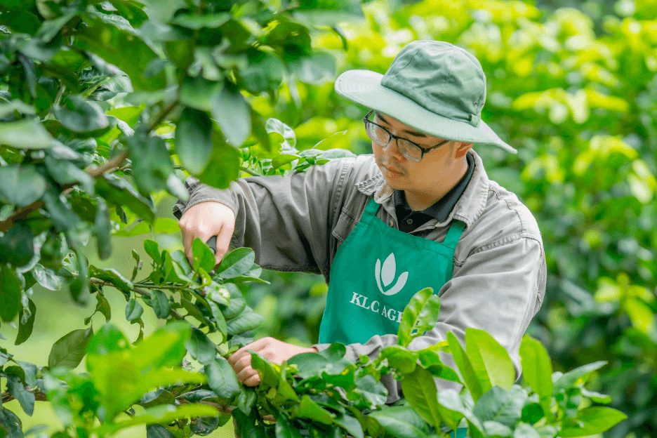 KLC Group mong muốn xây dựng mối quan hệ gắn kết cùng nông dân.