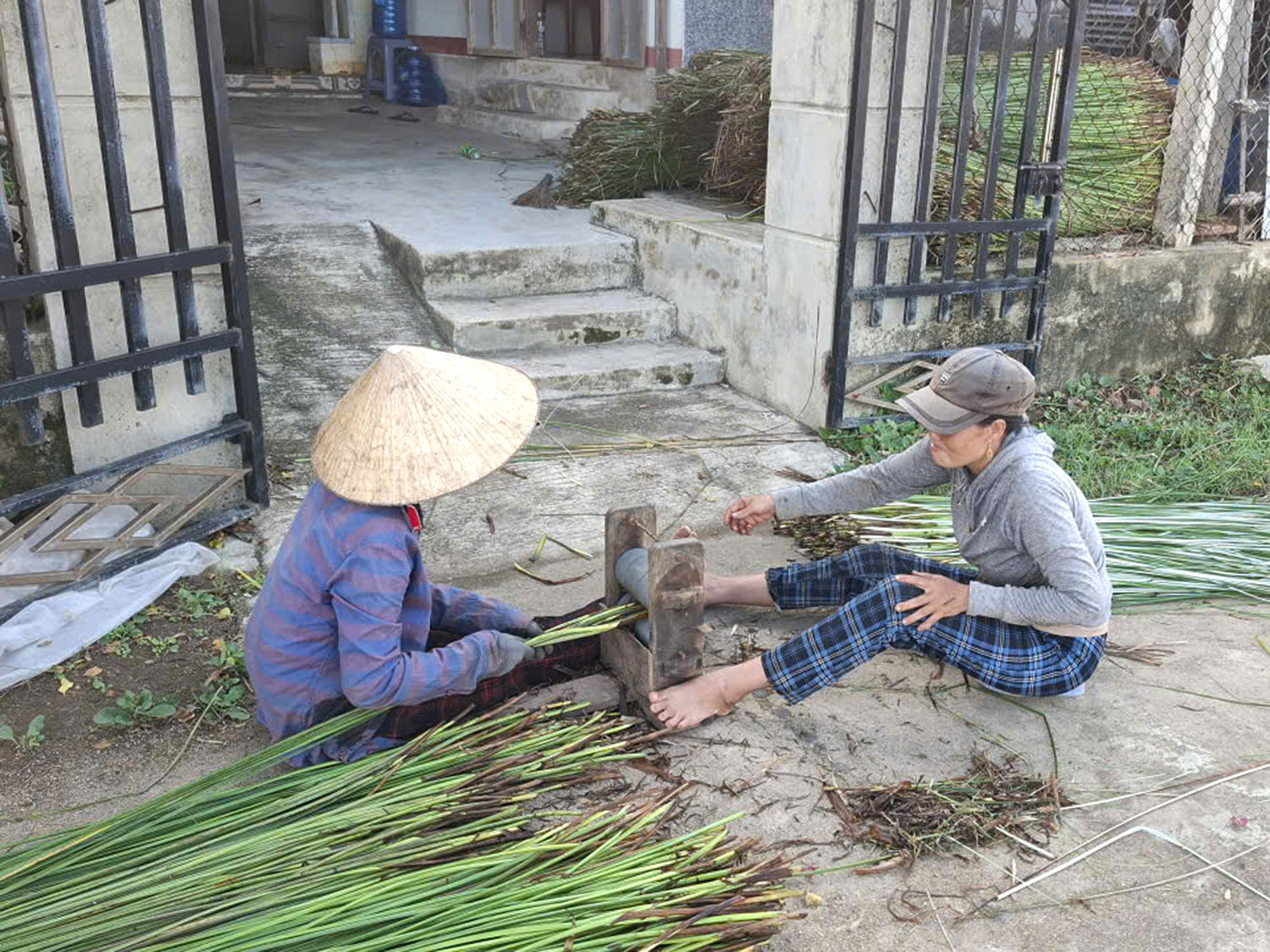 Chẻ lác. Ảnh: Mạnh Trâm Trân
