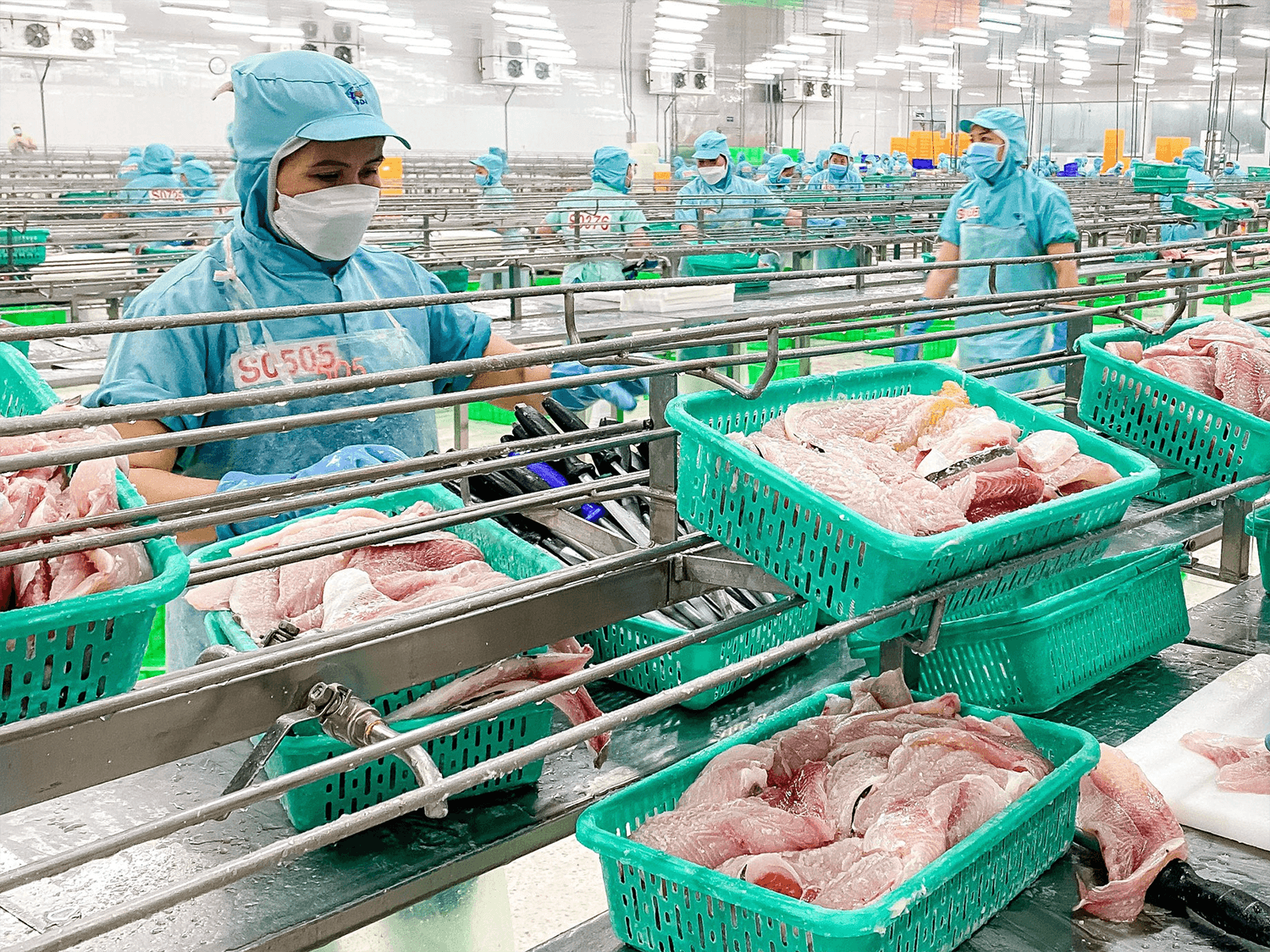 Cuối tháng 11: Anh siết chặt quy định IUU 
