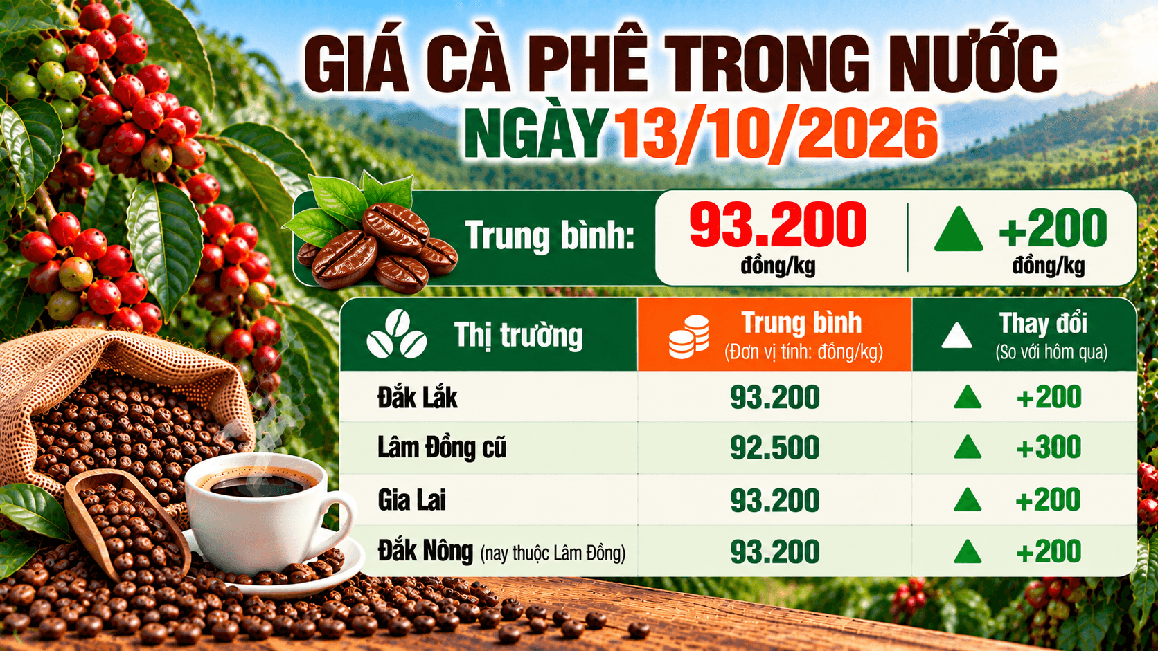 Giá cà phê trong nước ngày 13/10/2026 tăng thêm 200–300 đồng/kg.