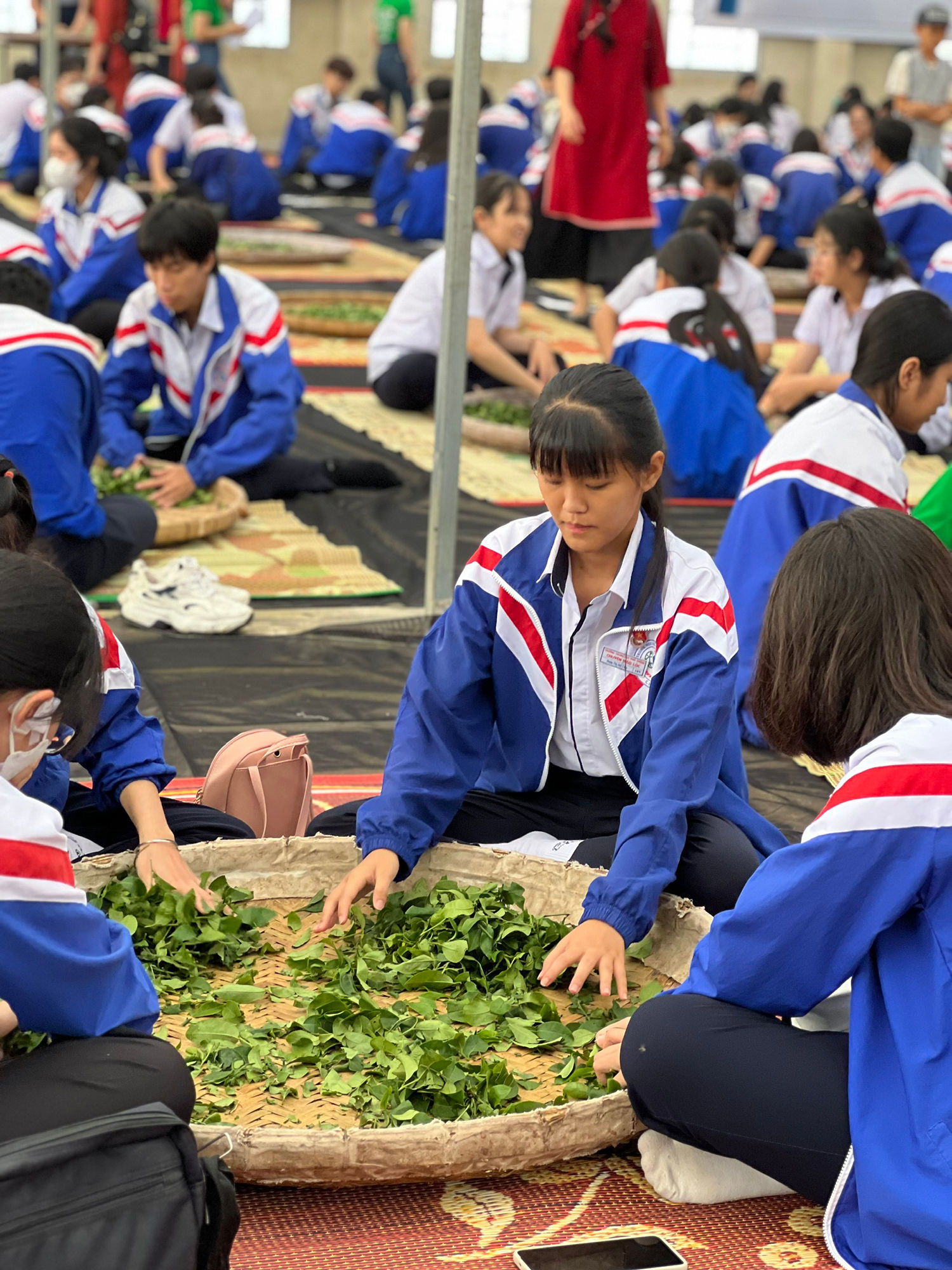 Vườn chè Đôi Dép - Bảo Lộc (18)