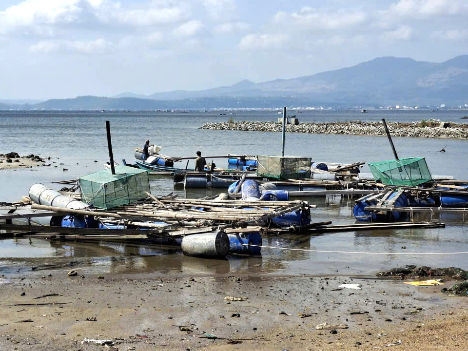 Gió bão năm 2025 đánh dạt vật dụng nuôi trồng thủy sản bay lên bờ dồn cục. Ảnh: Mạnh Trâm Trân.