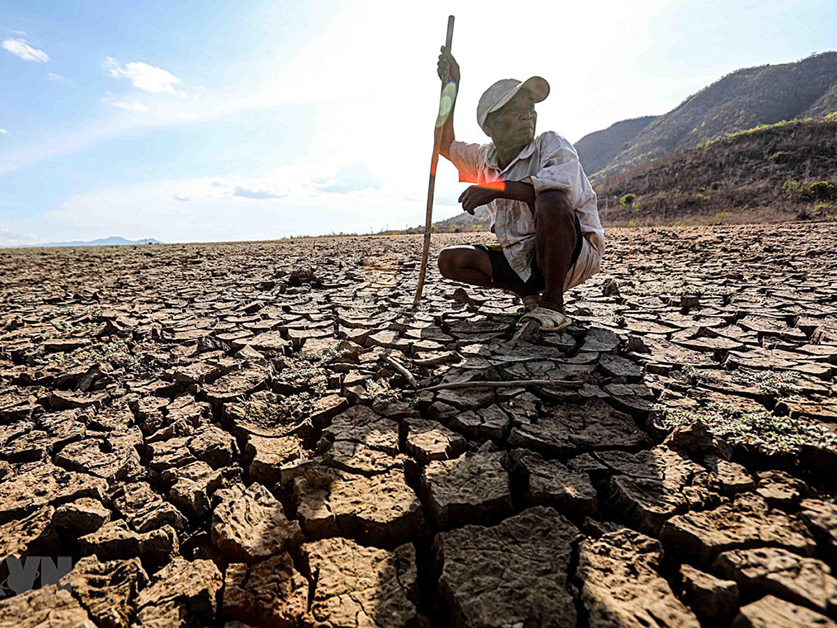 Thị trường phân bón trước bão El Niño 2027: Bài toán ‘sinh tồn’ cho bộ rễ cây trồng 