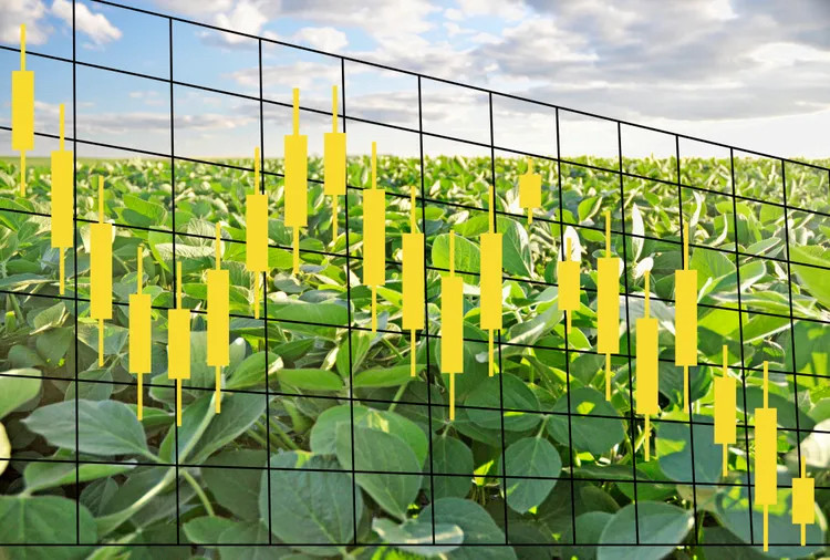 markets-4-soybeans-candlestick-down-4-786cb6e0f23c405397fa0cb3f2c10ffc.jpeg