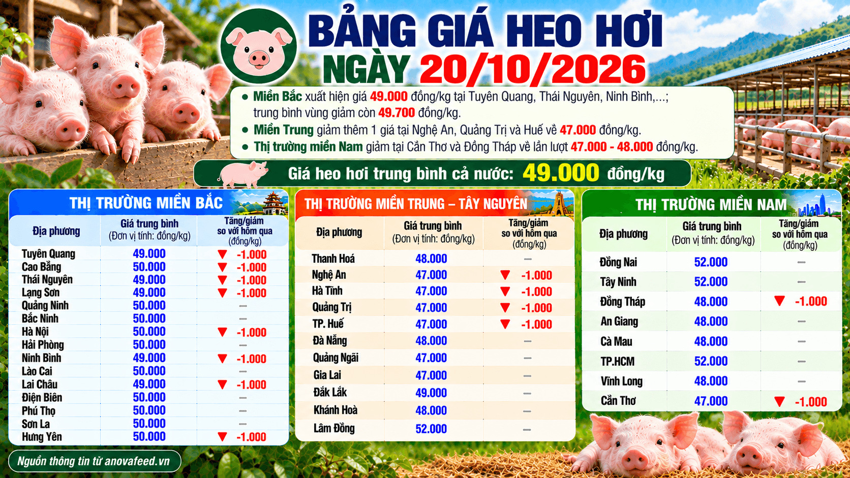 Bảng giá heo hơi ngày 20/10/2026.