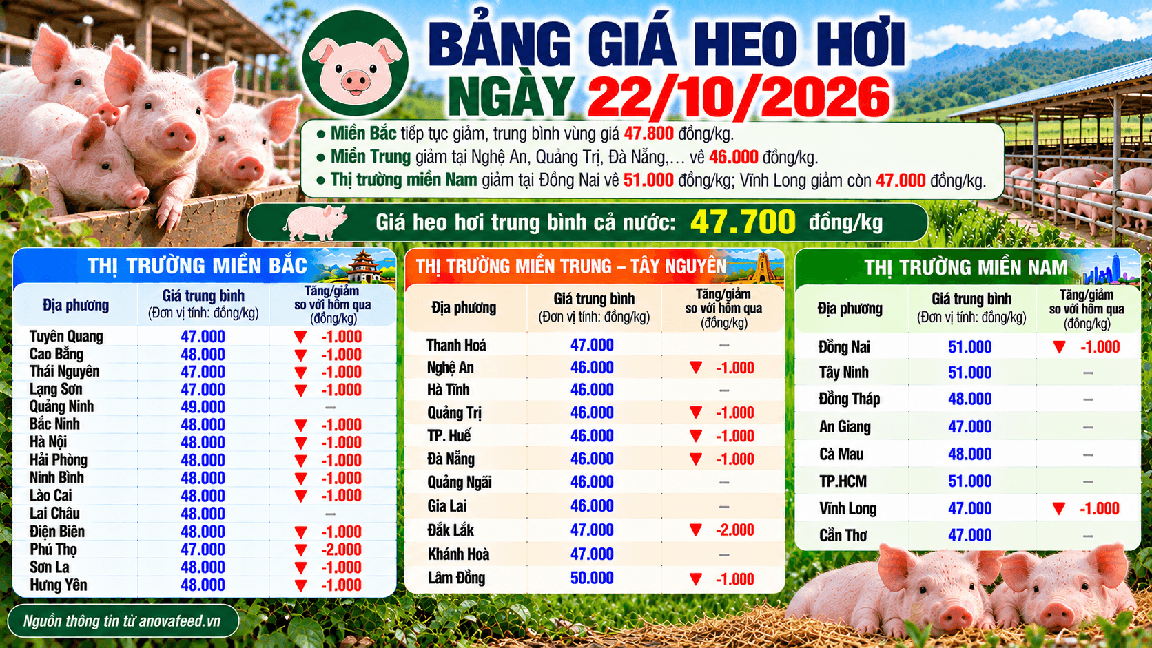 Tại nhiều địa phương, giá heo hơi giảm về mức 46.000 đồng/kg trong phiên giao dịch ngày 22/10.