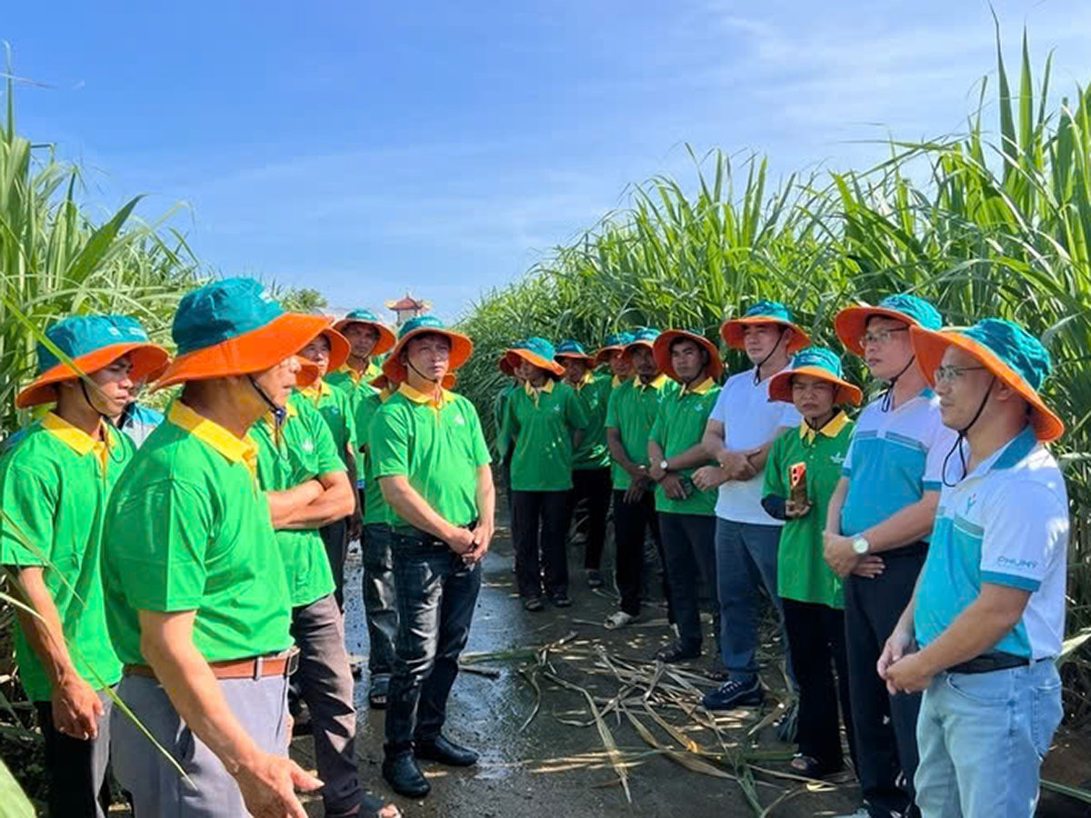 PVFCCo – Phú Mỹ chuyển từ nhà cung cấp phân bón thuần túy sang người đồng hành mang đến giải pháp dinh dưỡng toàn diện cho cây trồng.