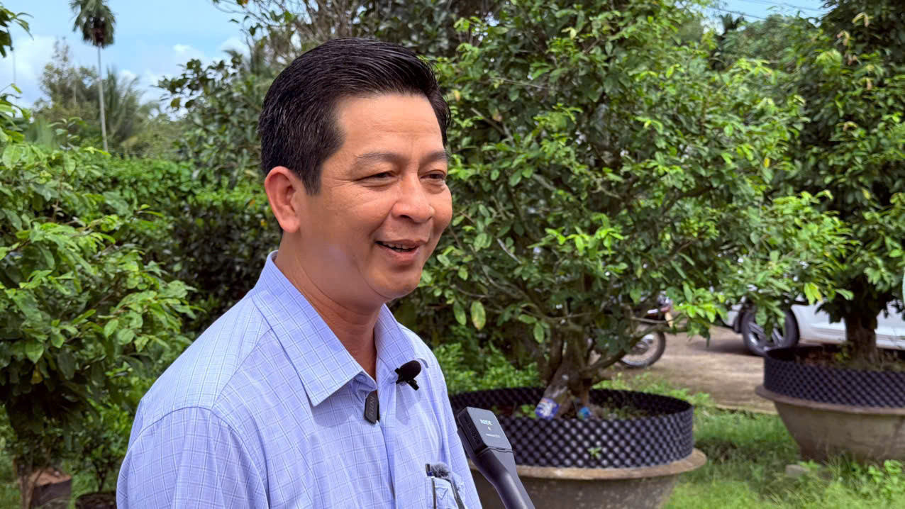 cho-hoa-xuan-binh-dien-2027-6.jpg