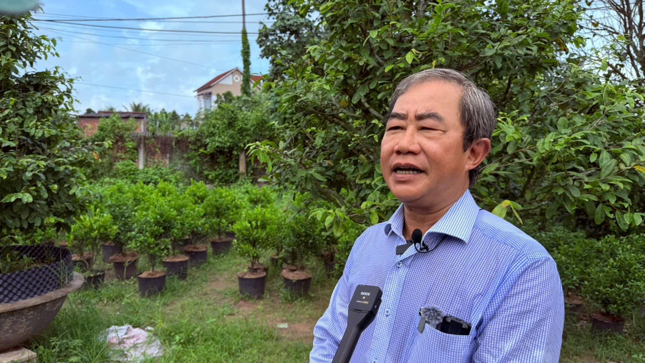 Ông Nguyễn Đăng Phú - Phó giám đốc Công ty Quản lý và Kinh doanh Chợ Bình Điền cho biết, Chợ hoa Xuân Bình Điền 2027 diễn ra từ 28/1 đến hết 5/2/2027.