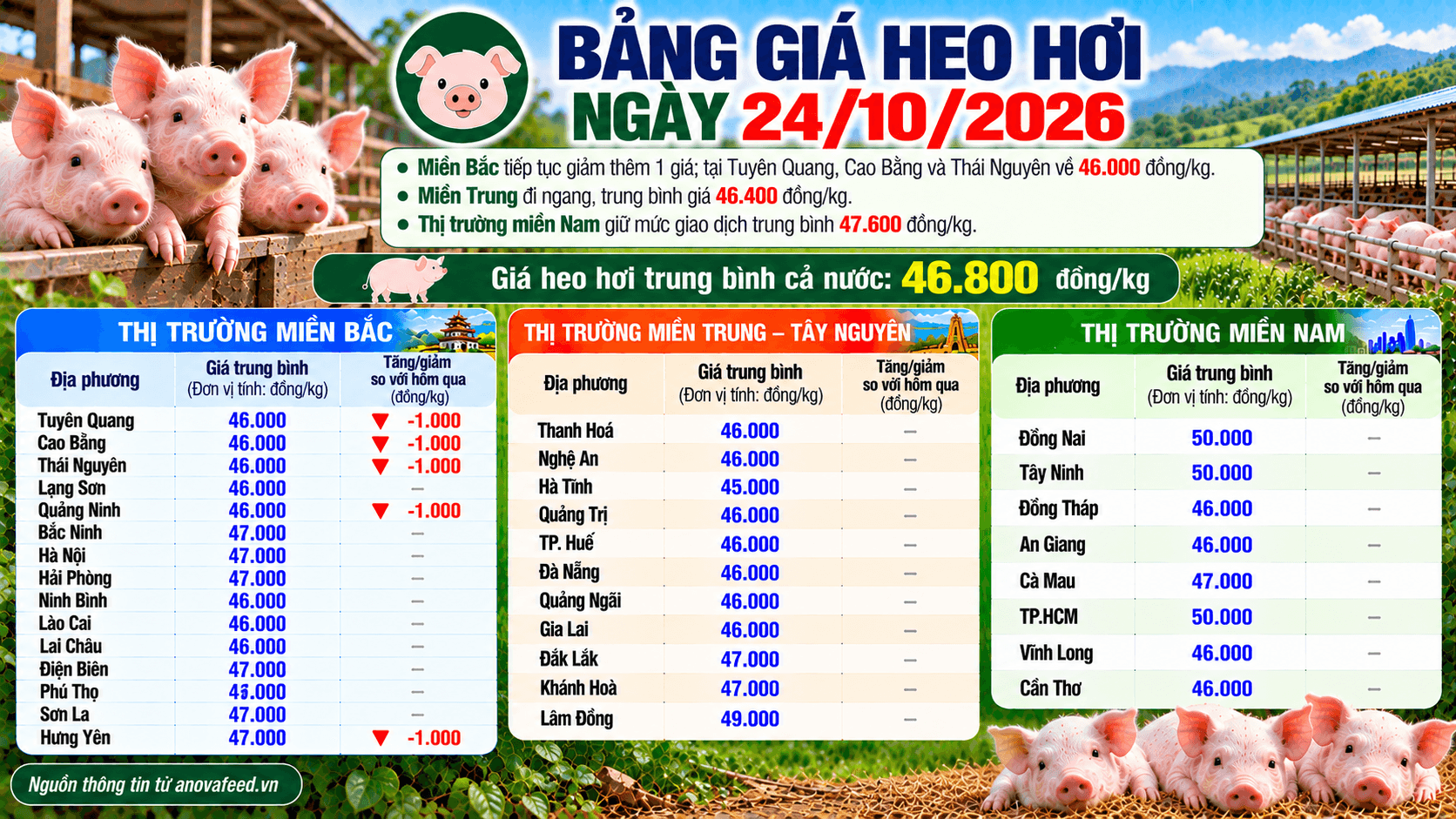 Giá heo hơi bình quân cả nước ngày 24/10 ở mức 46.800 đồng/kg.