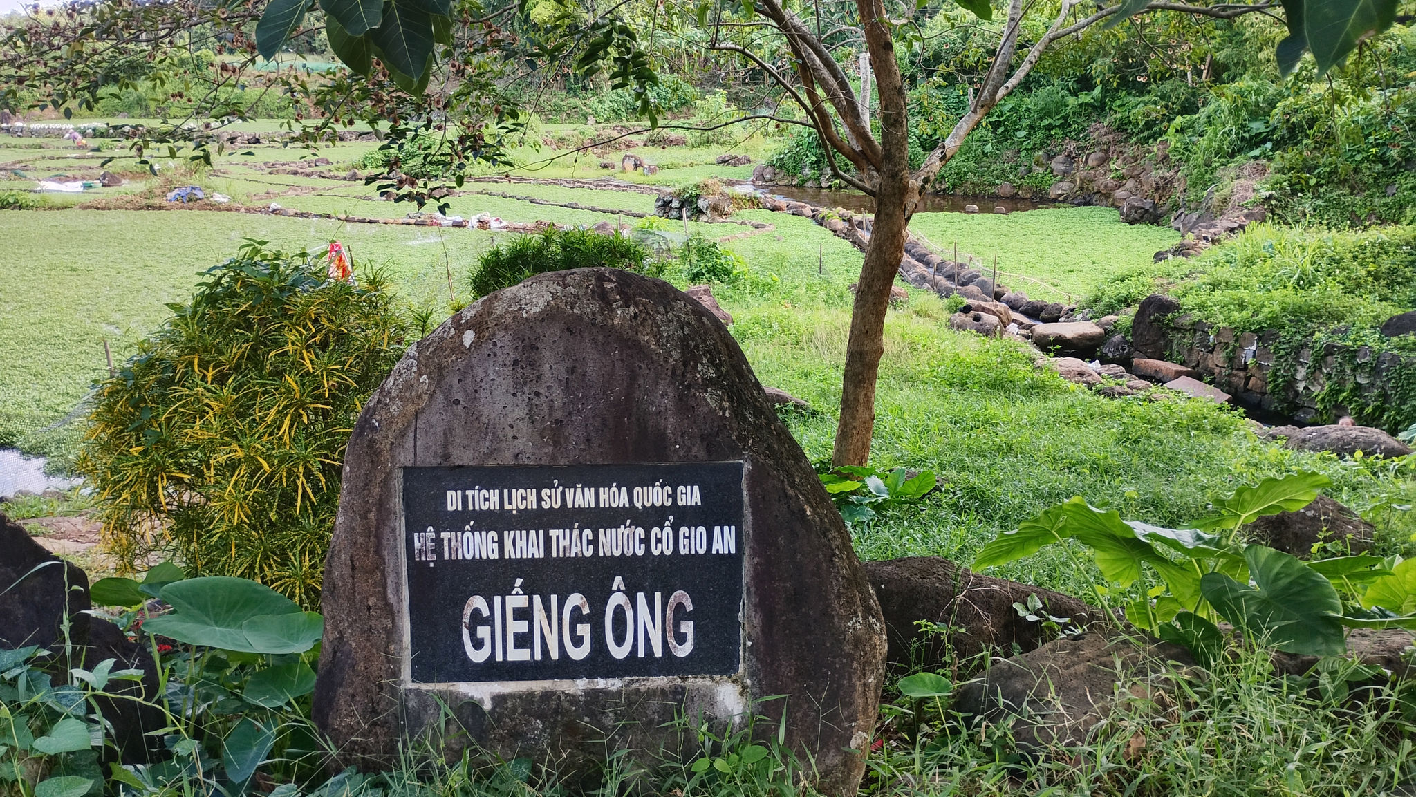 Giếng Ông gắn với tập tục vốn quy ước chỉ dành riêng cho đàn ông tắm rửa.