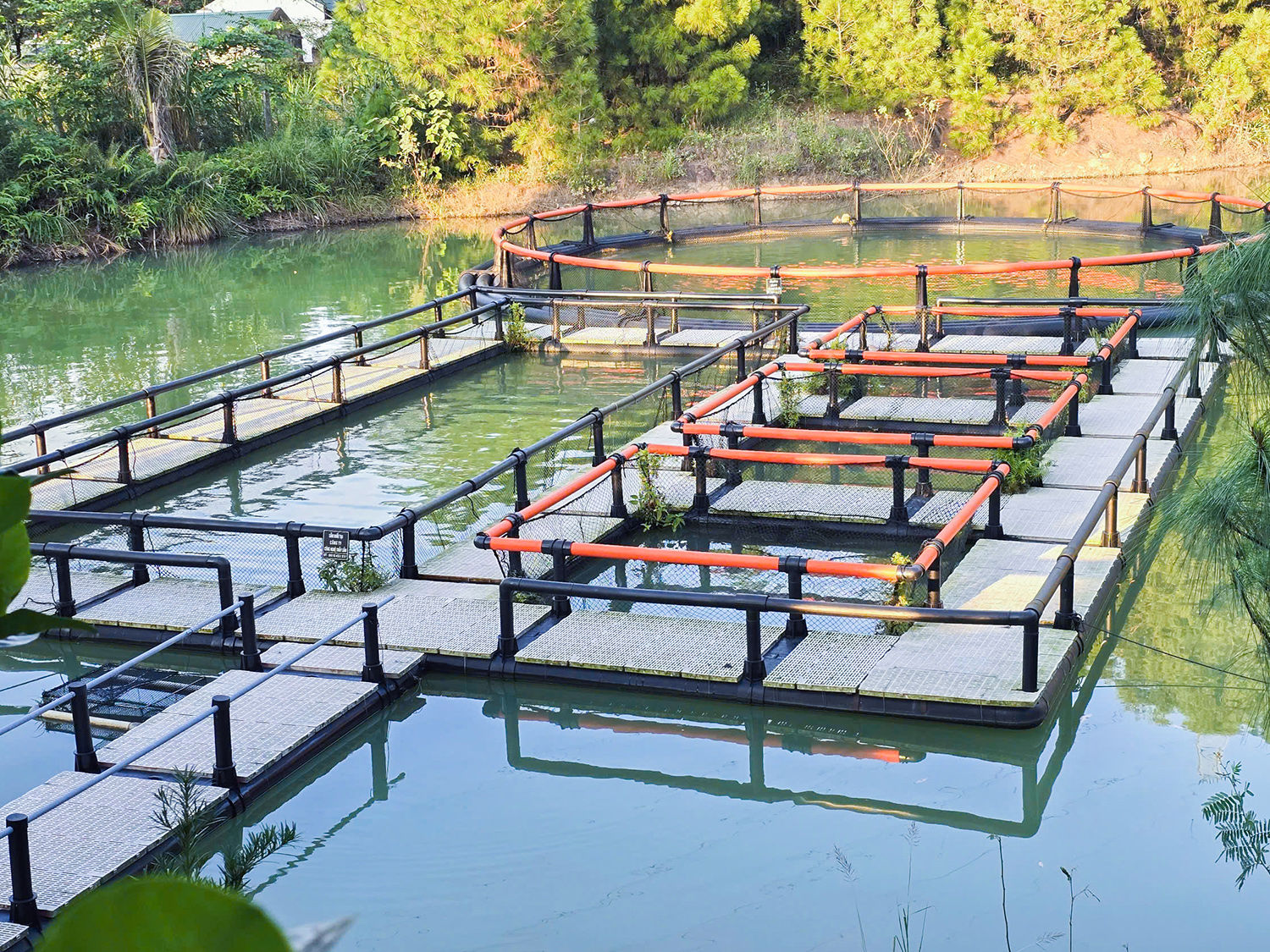 Hệ lồng HDPE còn gợi mở hướng nuôi thủy sản kết hợp với du lịch trải nghiệm ở những khu vực lòng hồ, vùng vịnh có cảnh đẹp