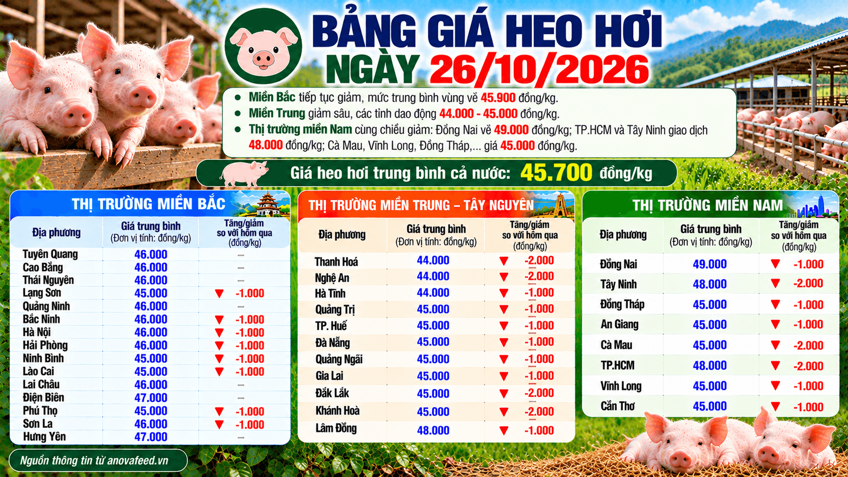Giá heo hơi ngày 26/10 có nơi xuống còn 44.000 đồng/kg.