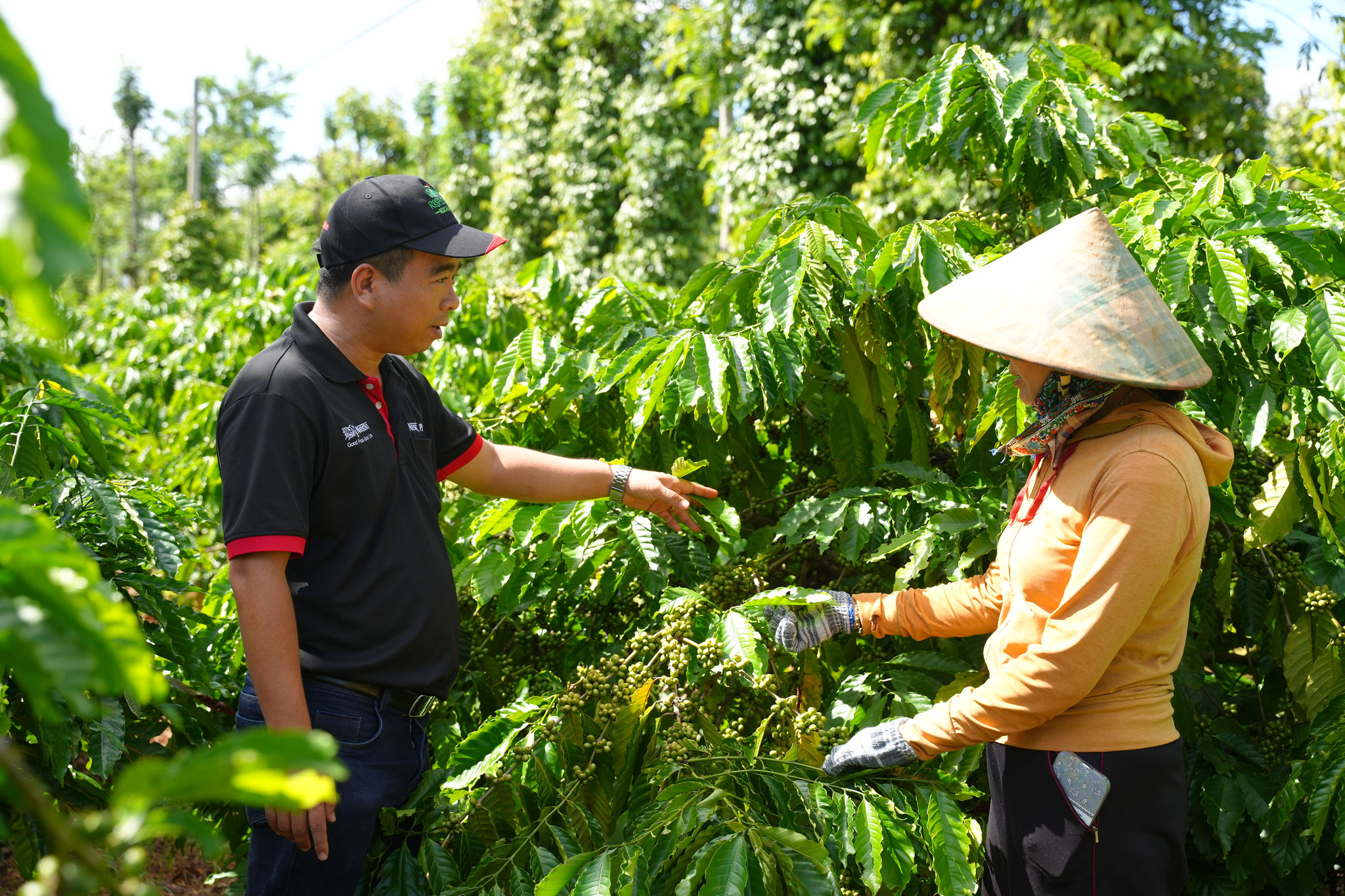 Năng lực quyết định vị thế doanh nghiệp trong chuỗi cung ứng toàn cầu (3)