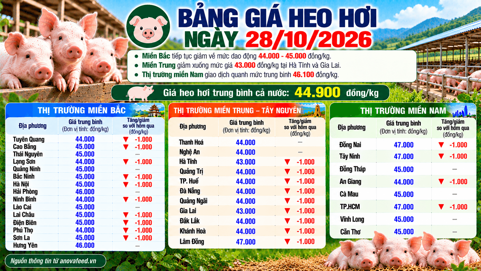 Giá heo hơi ngày 28/10/2026 có nơi còn 43.000 đồng/kg.