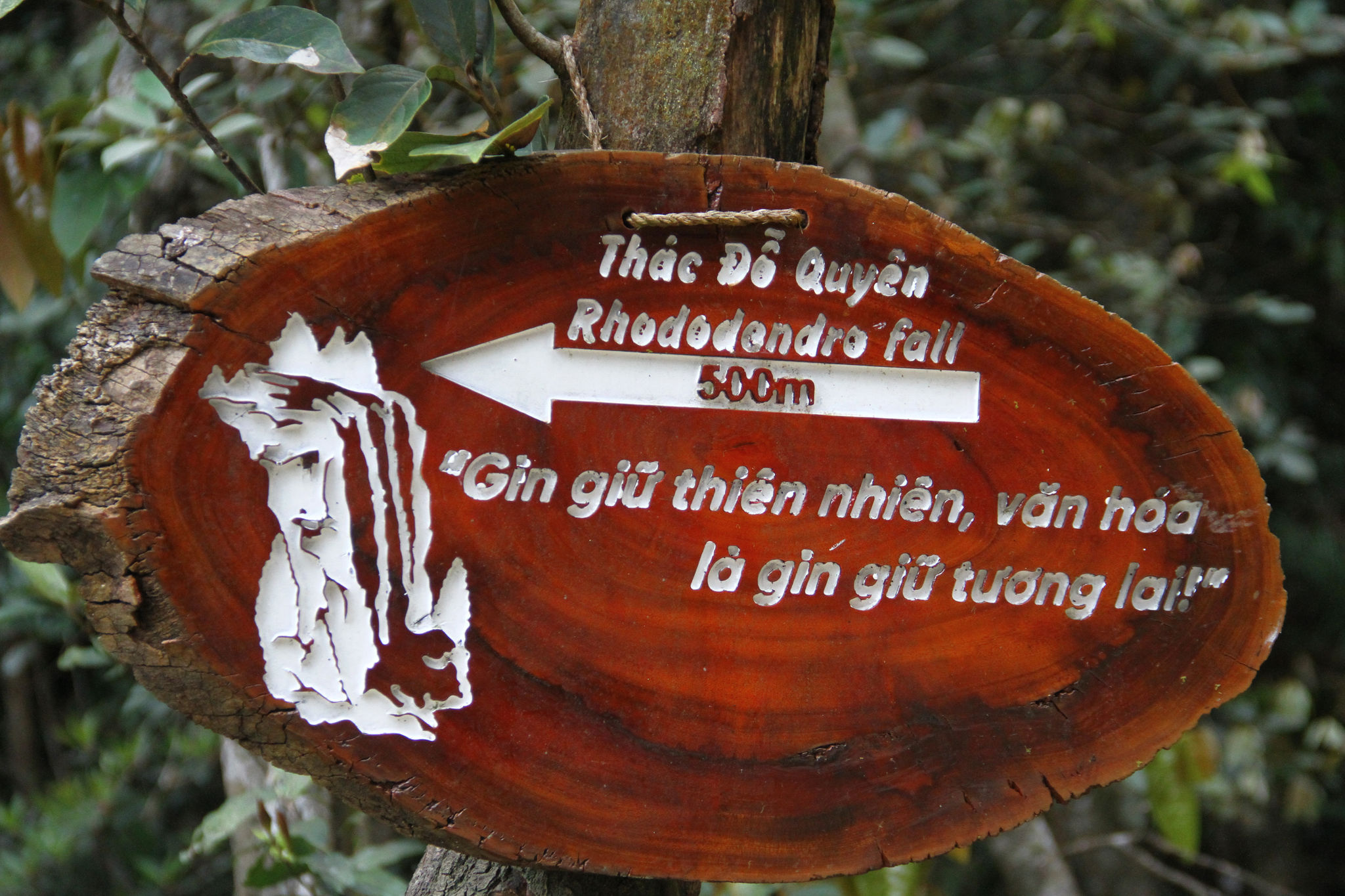 imgl4681.jpg