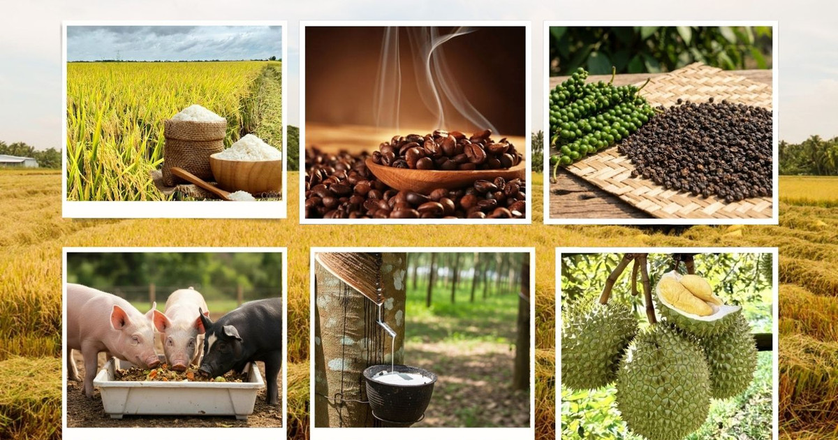 Thị trường nông sản 13/8: Cà phê nội địa mất đà tăng, gạo xuất khẩu khởi sắc