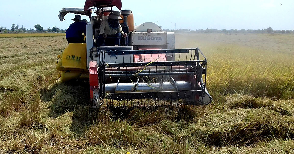 Nông nghiệp tháng 9 và những lao đao bởi dị thường thời tiết