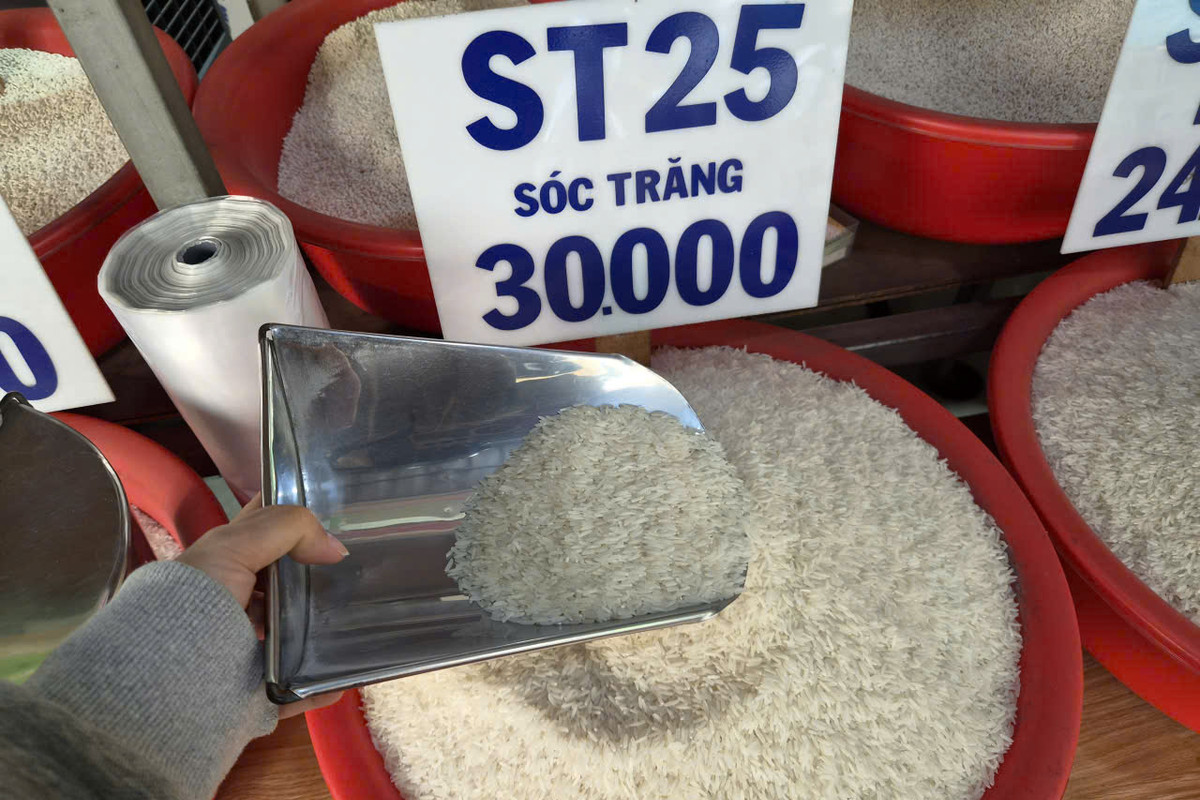 Gạo ST25 muôn kiểu giá: Khác nhau ở đâu?