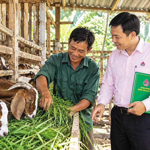Đưa tín dụng chính sách bén rễ, nảy mầm sinh kế từ cơ sở